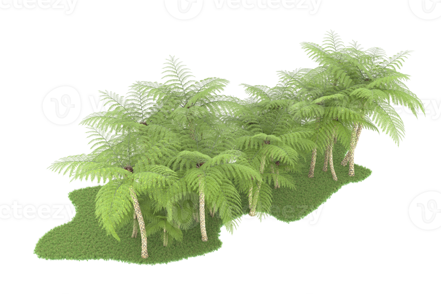 Realistic forest isolated on transparent background. 3d rendering - illustration png