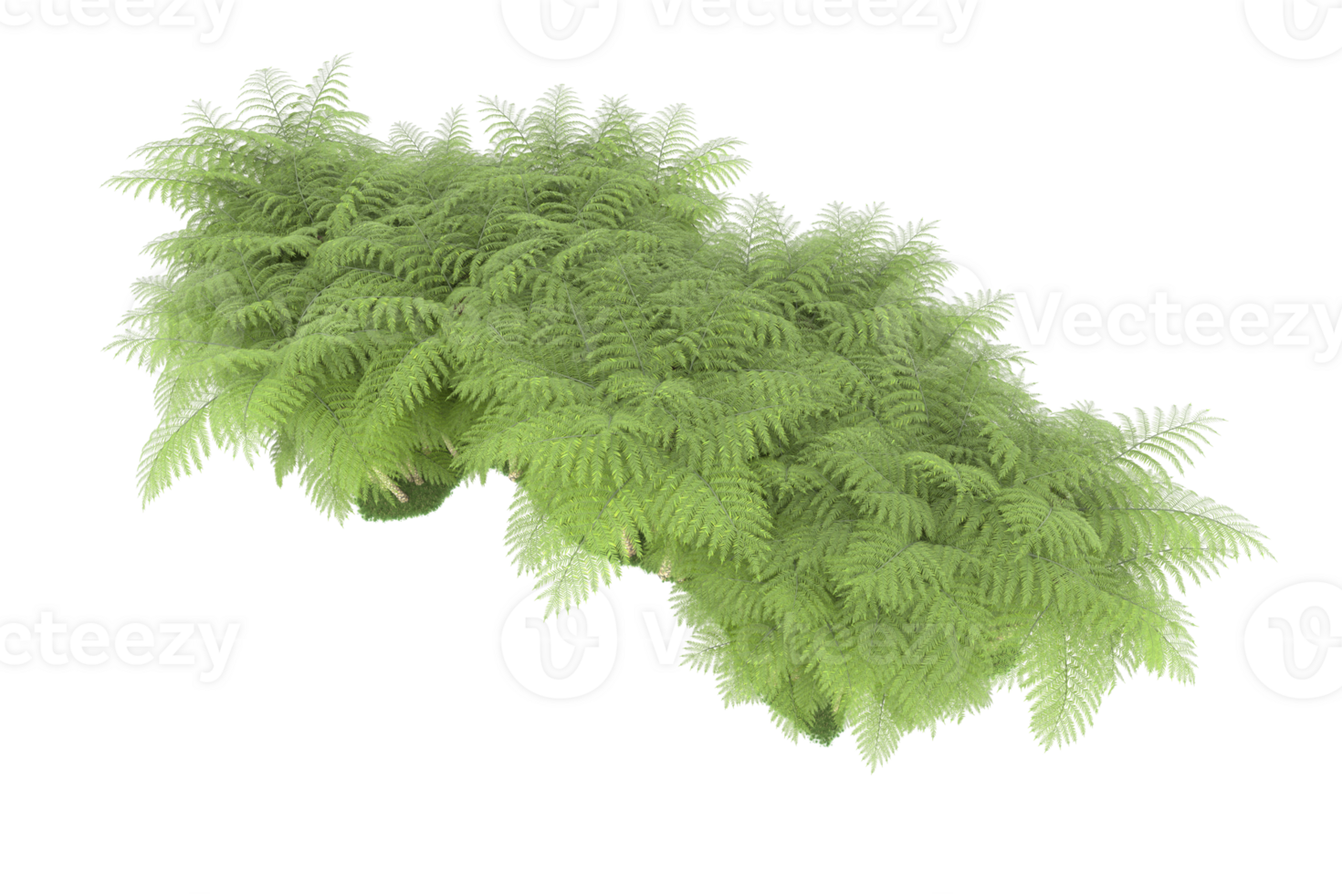 Realistic forest isolated on transparent background. 3d rendering - illustration png