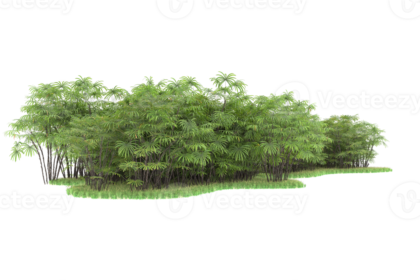 Realistic forest isolated on transparent background. 3d rendering - illustration png