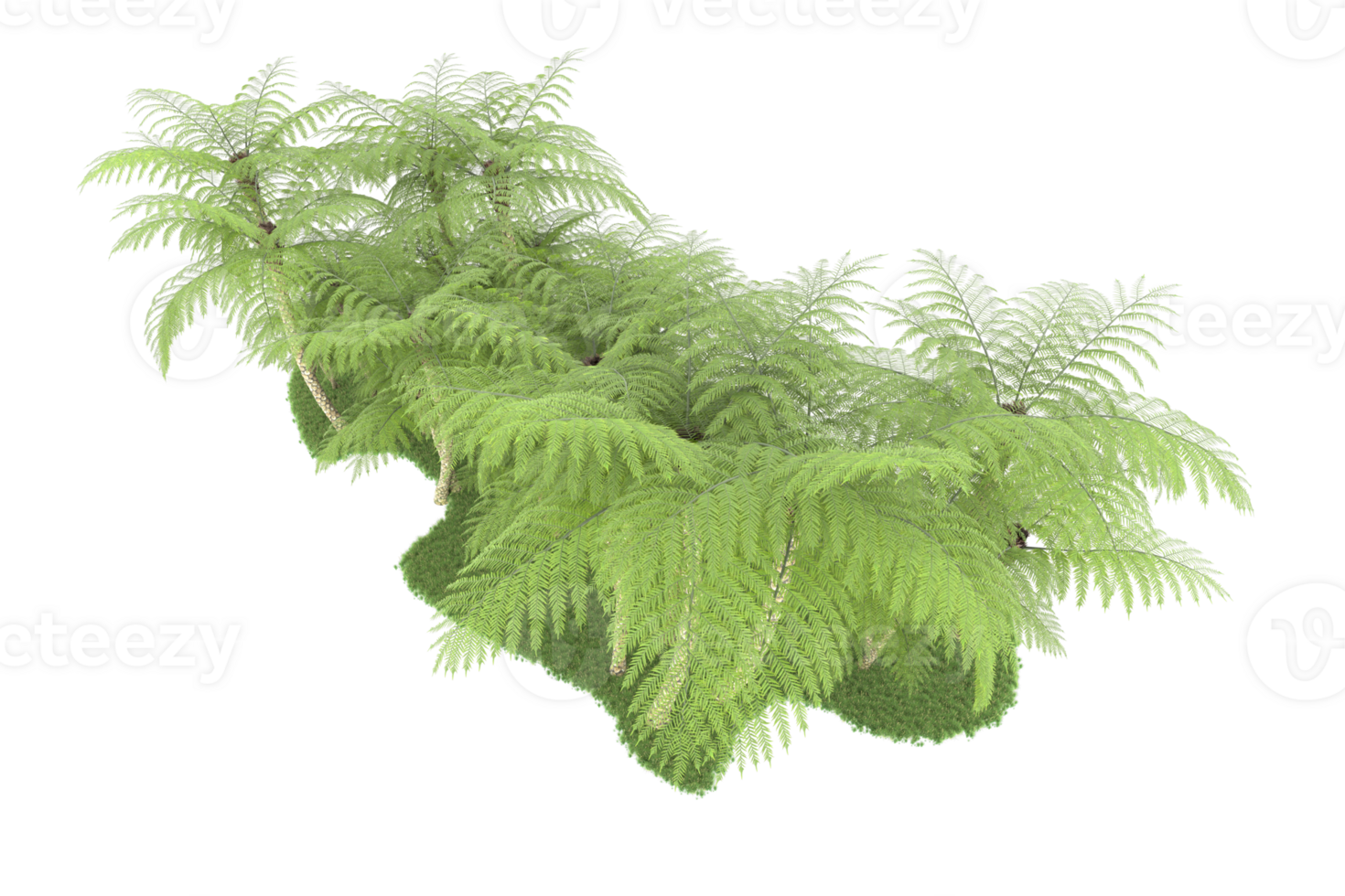 Realistic forest isolated on transparent background. 3d rendering - illustration png