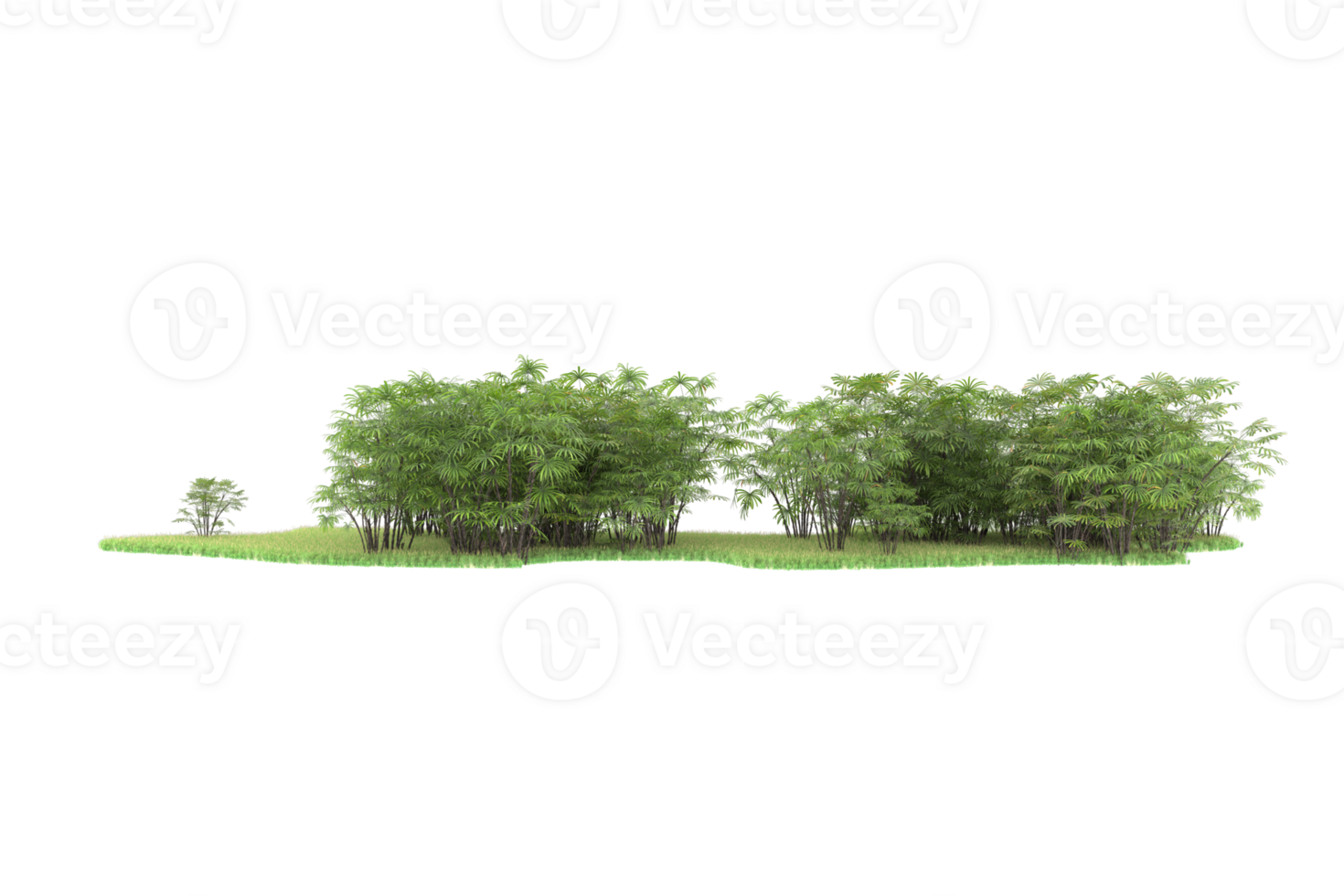 Realistic forest isolated on transparent background. 3d rendering - illustration png