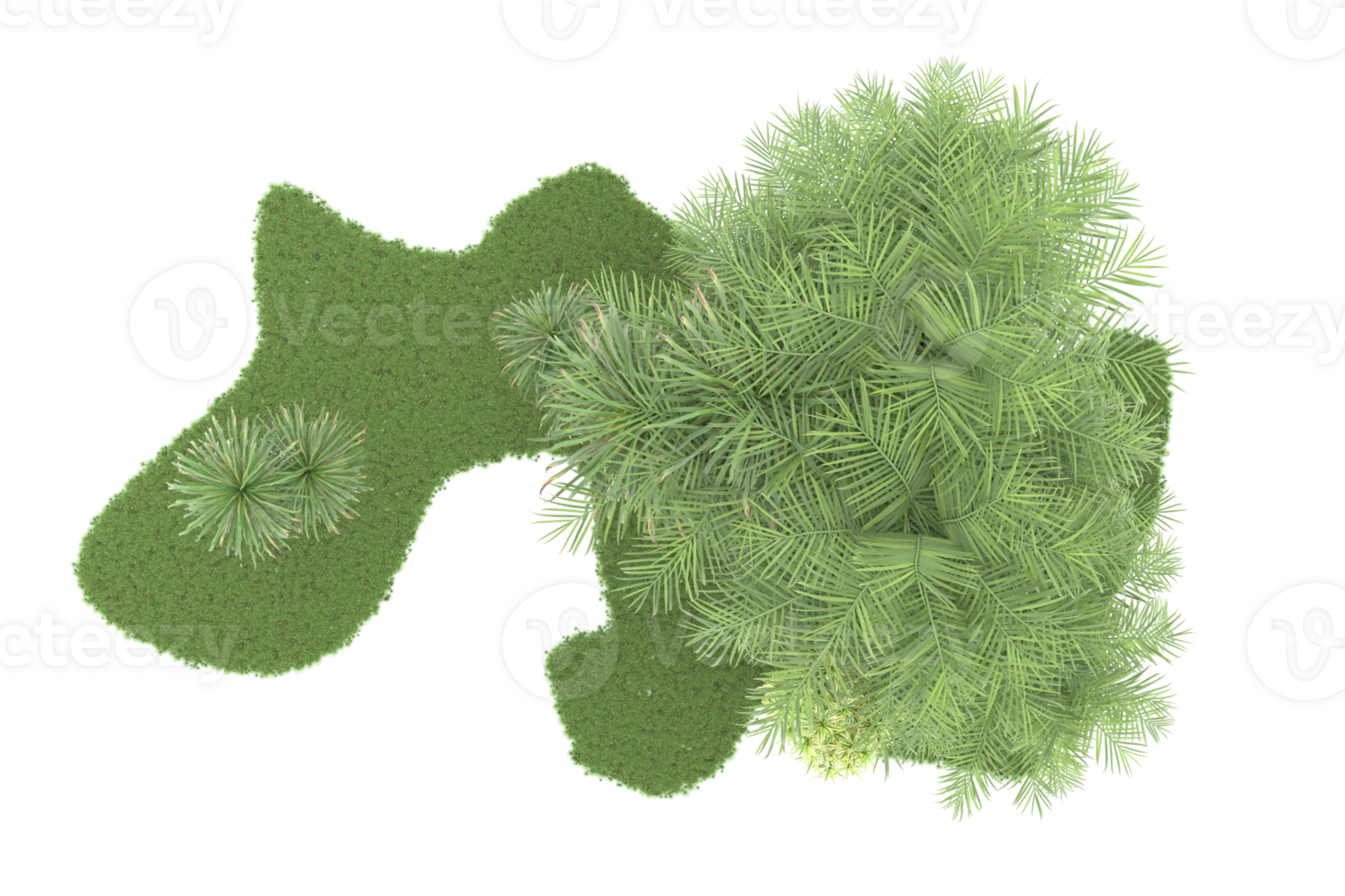 Realistic forest isolated on transparent background. 3d rendering - illustration png