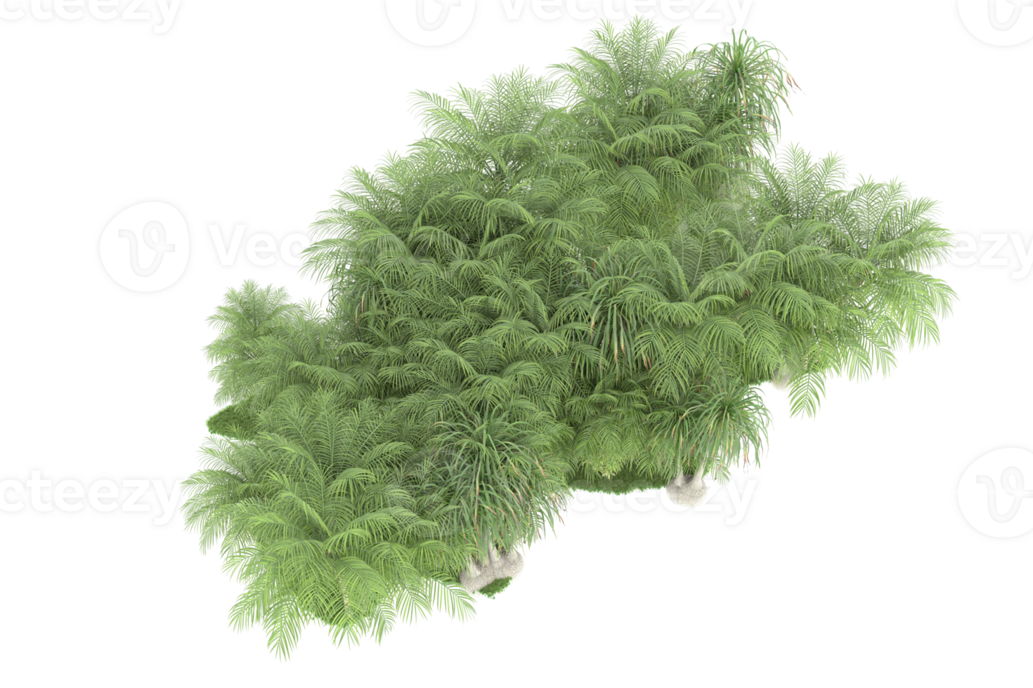 Realistic forest isolated on transparent background. 3d rendering - illustration png