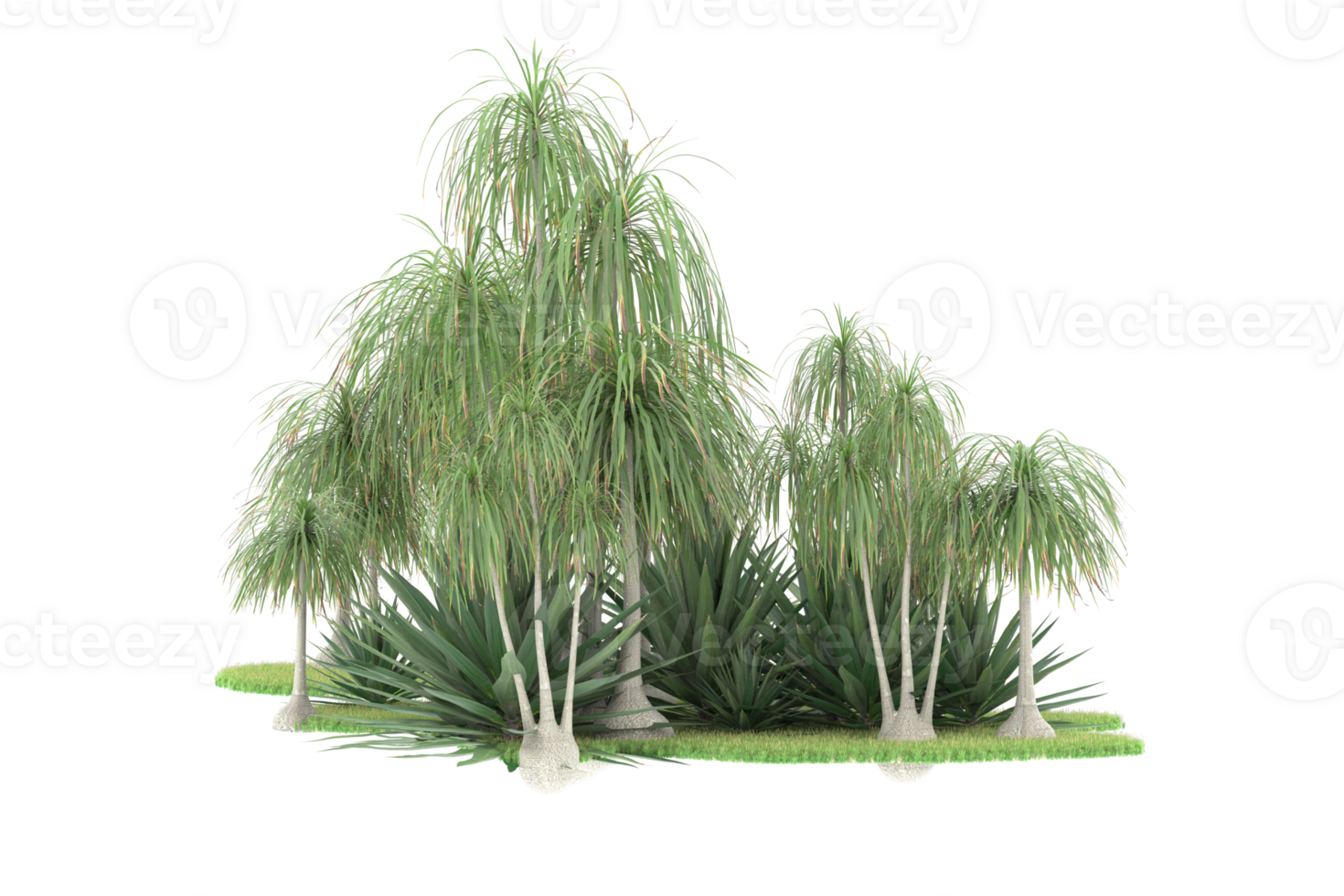 Realistic forest isolated on transparent background. 3d rendering - illustration png