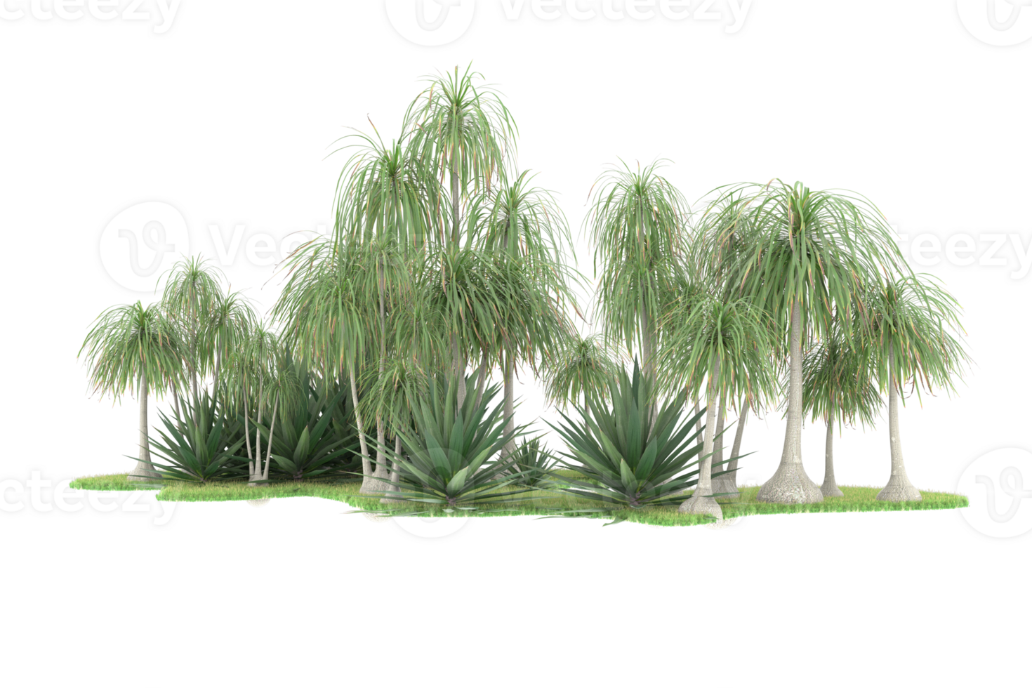 Realistic forest isolated on transparent background. 3d rendering - illustration png