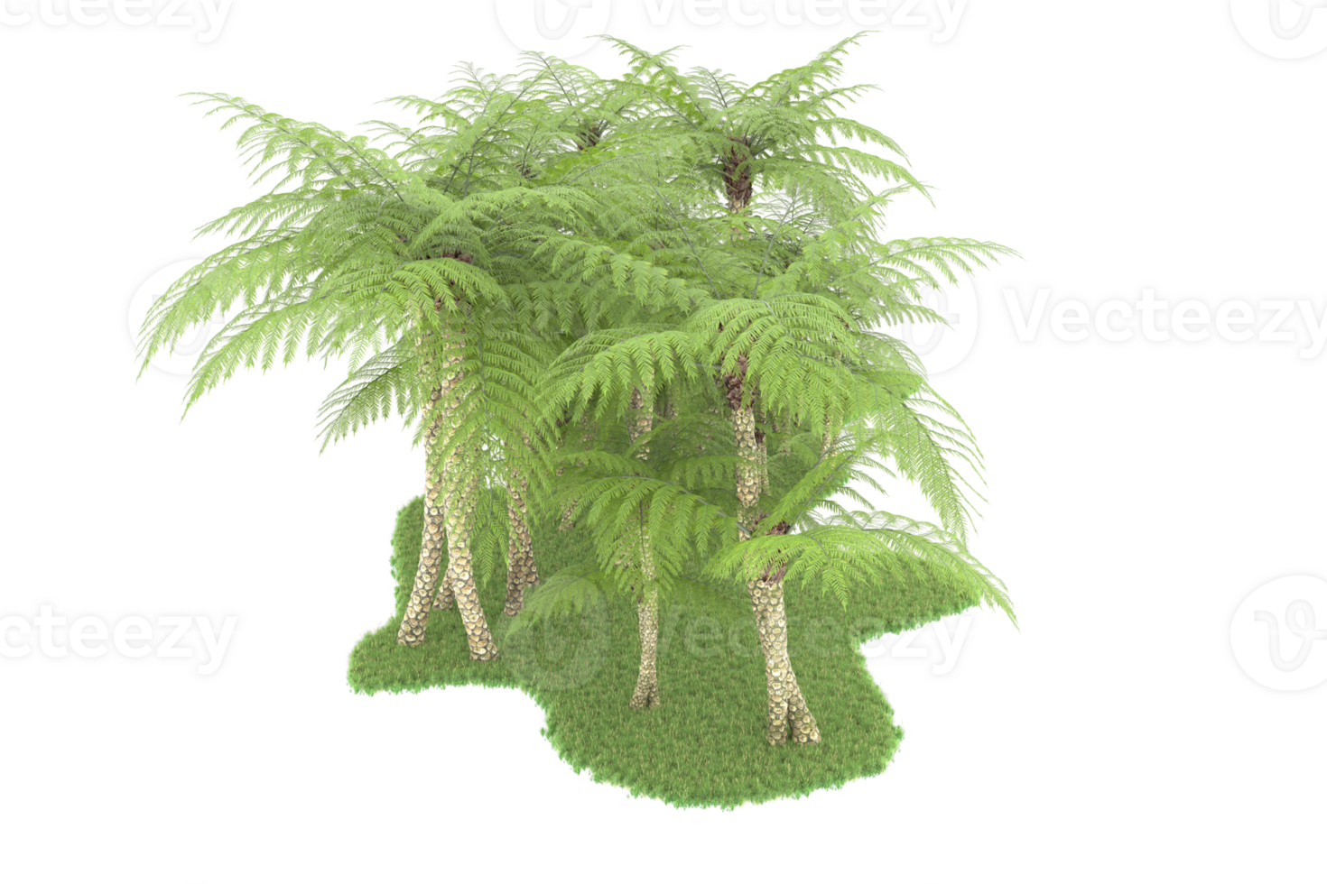 Realistic forest isolated on transparent background. 3d rendering - illustration png