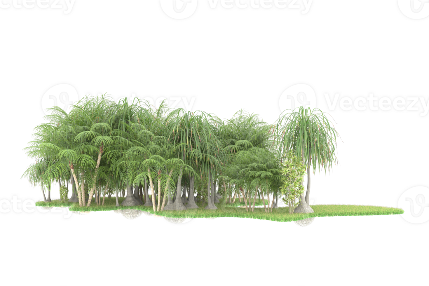 Realistic forest isolated on transparent background. 3d rendering - illustration png