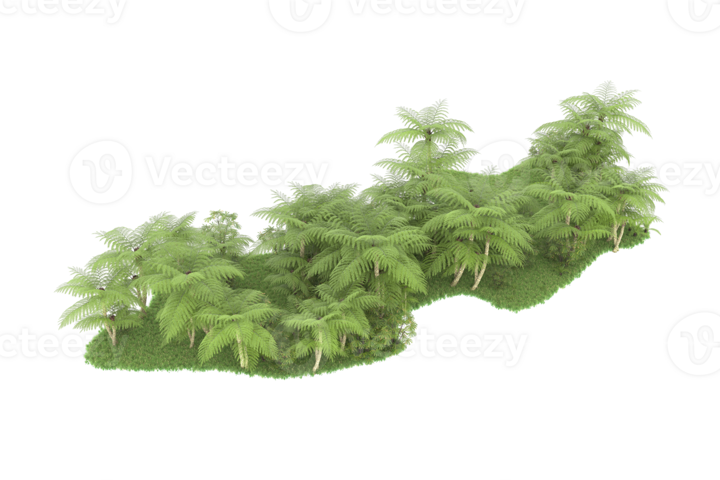 Realistic forest isolated on transparent background. 3d rendering - illustration png