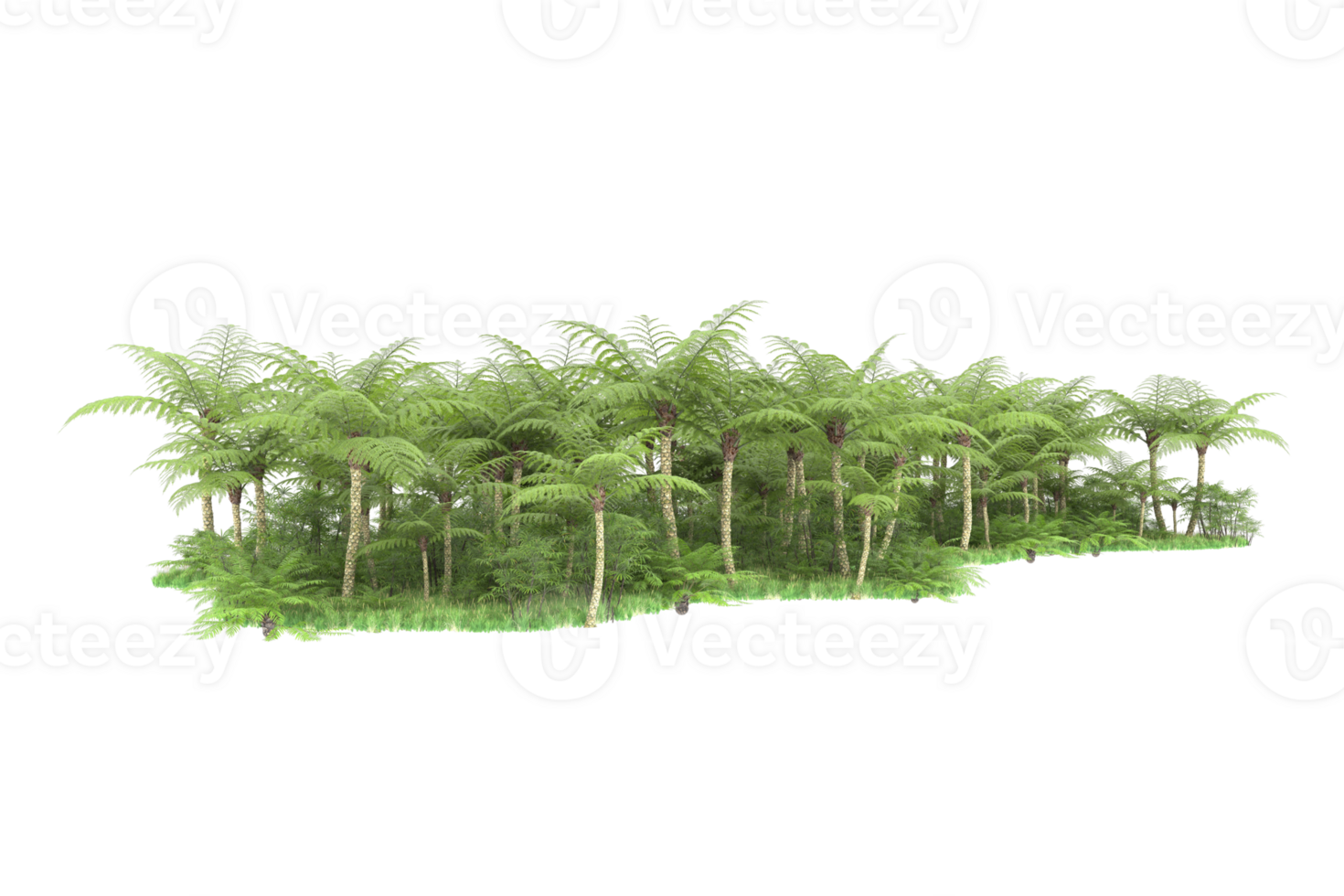 Realistic forest isolated on transparent background. 3d rendering - illustration png
