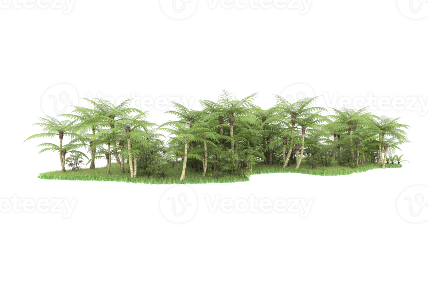 Realistic forest isolated on transparent background. 3d rendering - illustration png