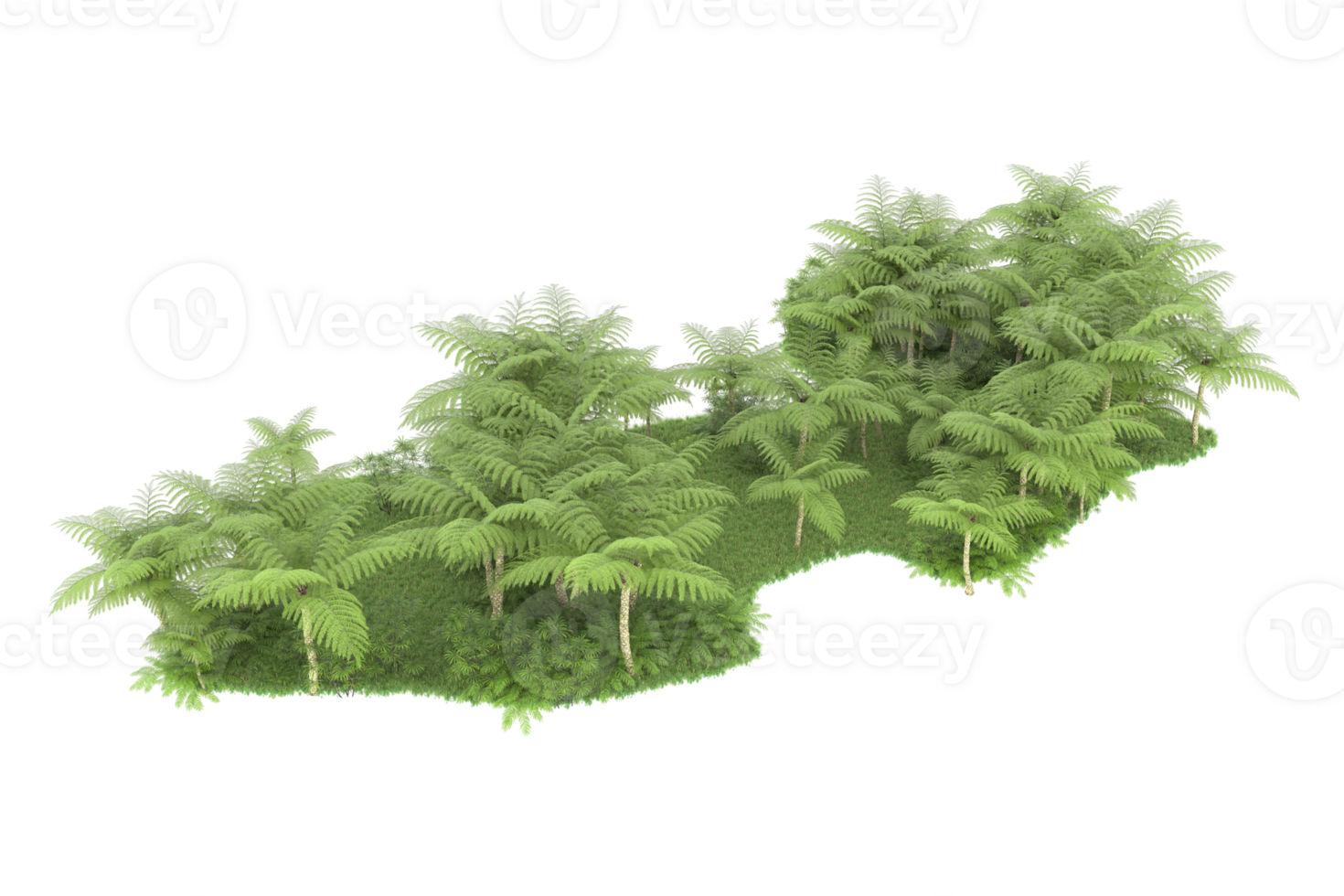 Realistic forest isolated on transparent background. 3d rendering - illustration png