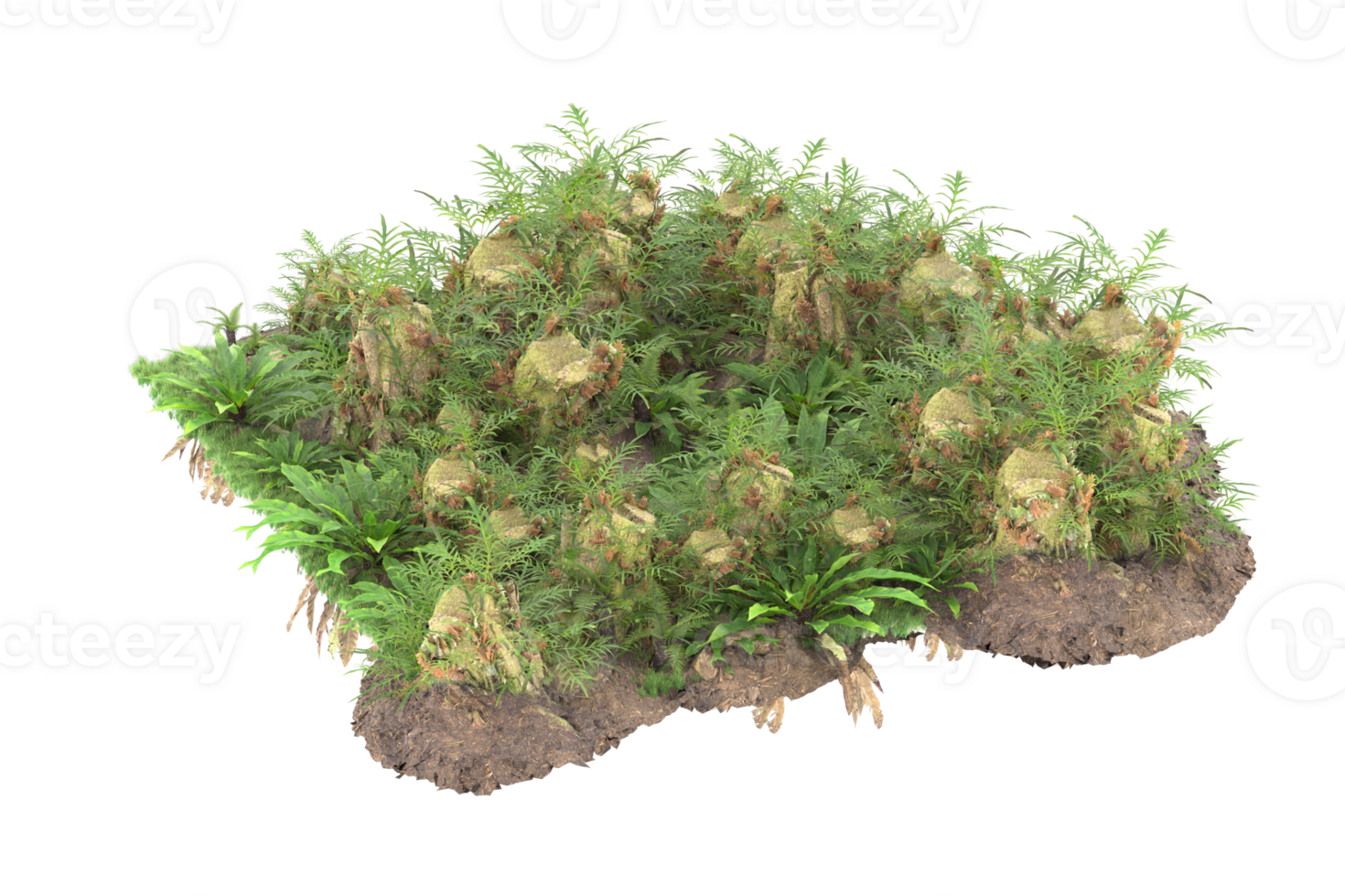 Realistic forest isolated on transparent background. 3d rendering - illustration png