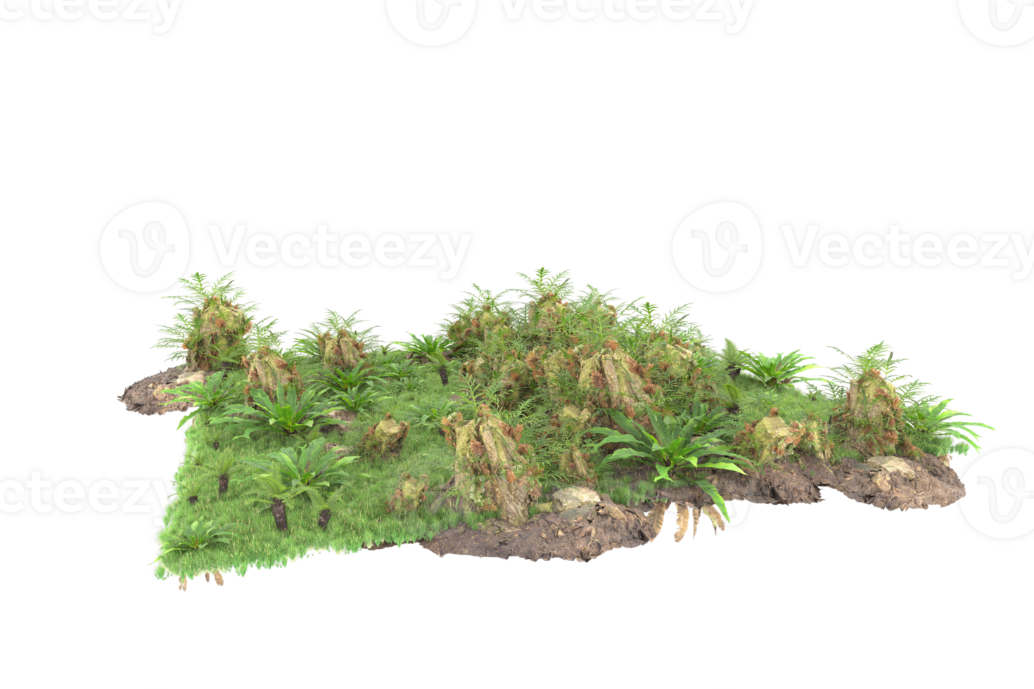 Realistic forest isolated on transparent background. 3d rendering - illustration png