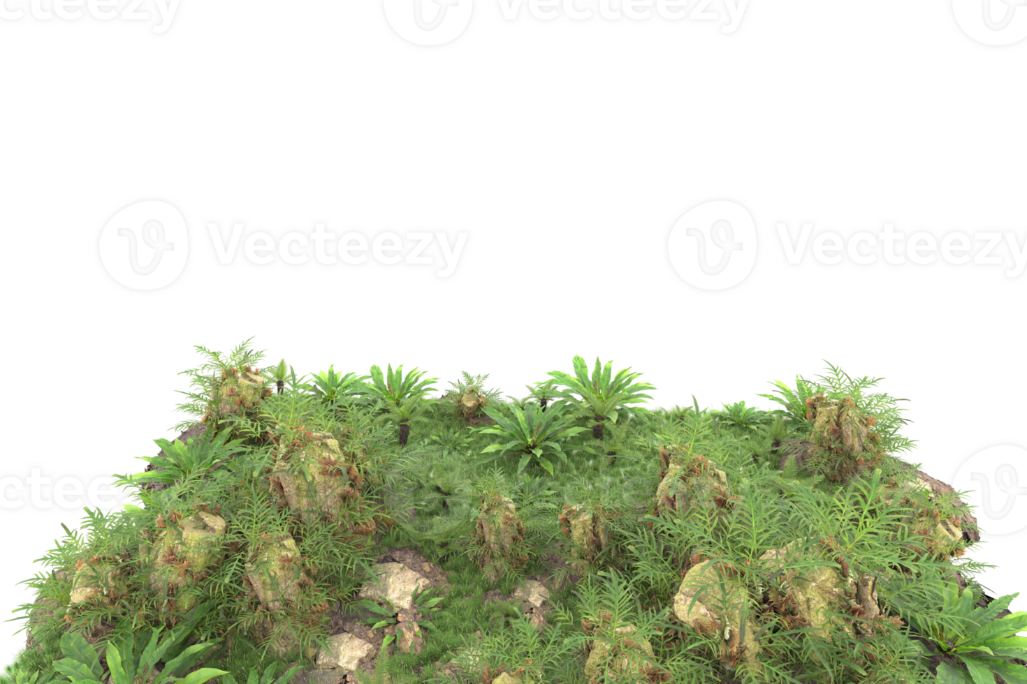 Realistic forest isolated on transparent background. 3d rendering - illustration png