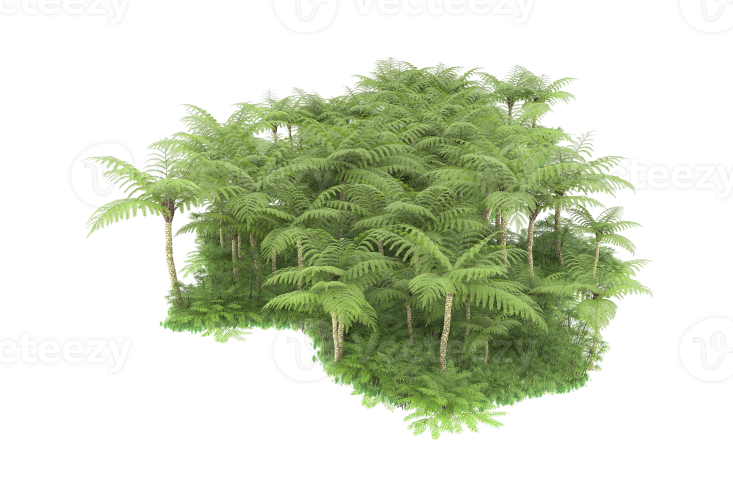 Realistic forest isolated on transparent background. 3d rendering - illustration png