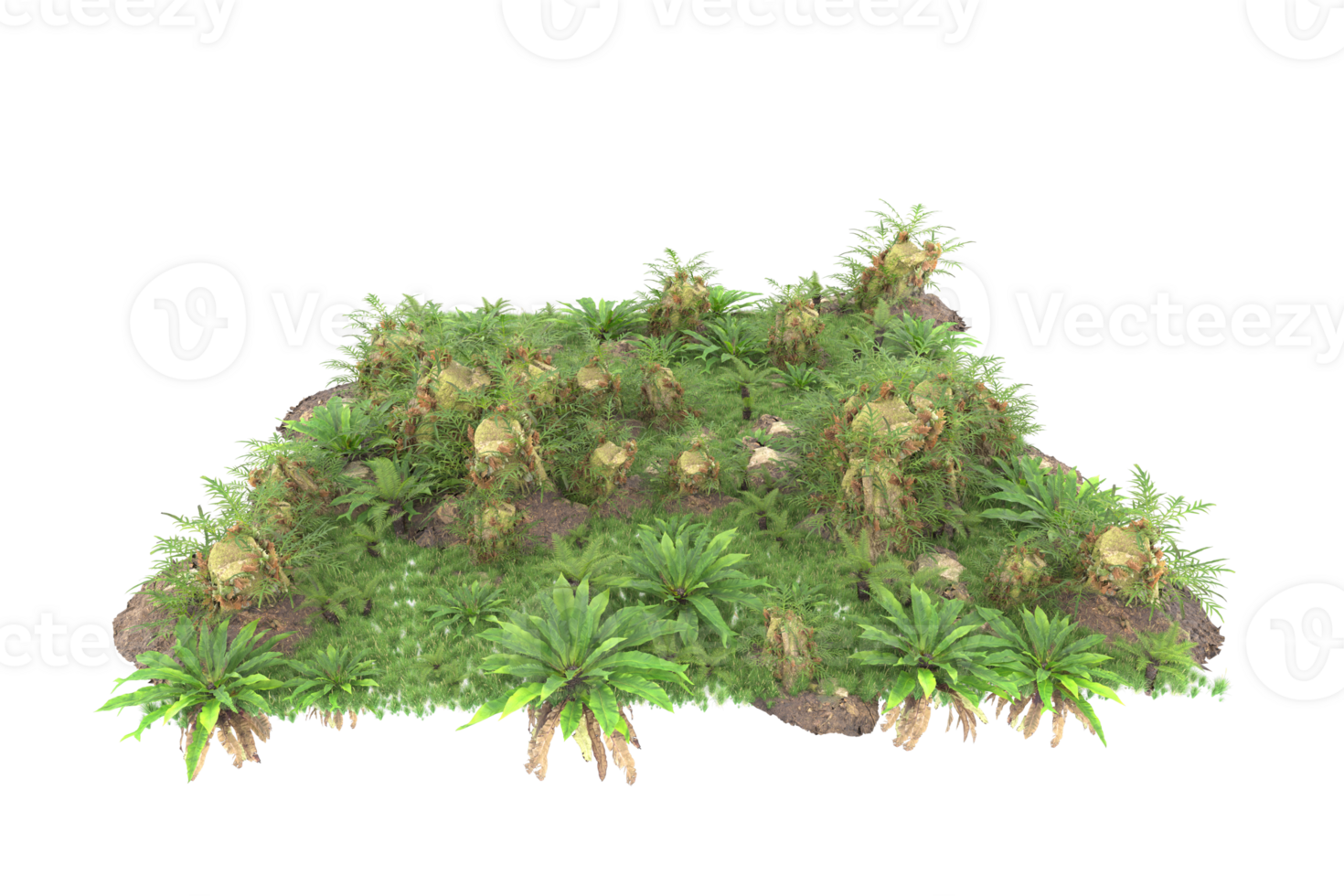 Realistic forest isolated on transparent background. 3d rendering - illustration png