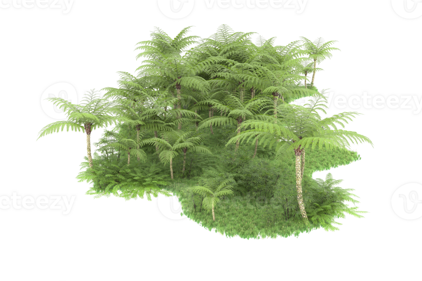 Realistic forest isolated on transparent background. 3d rendering - illustration png