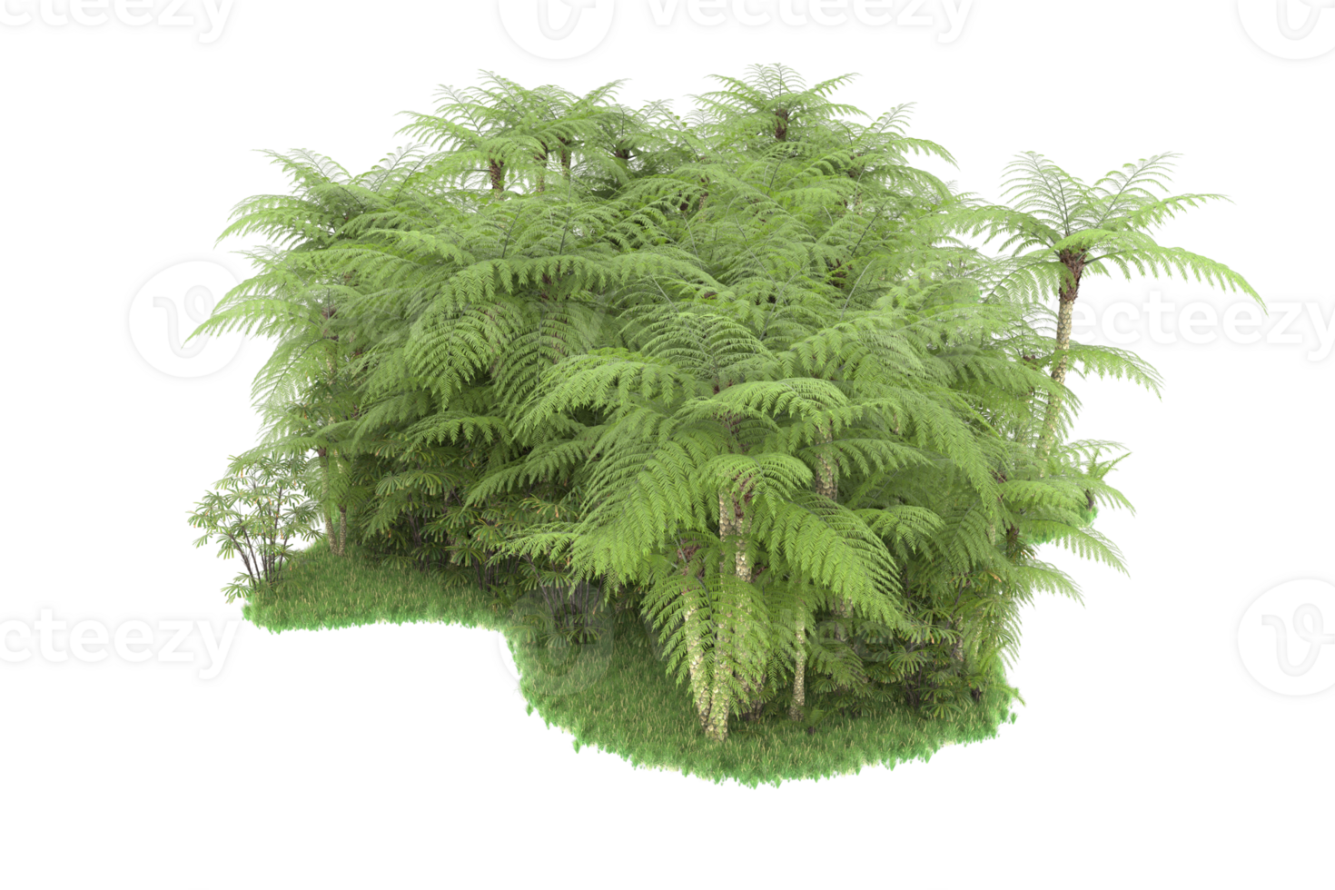 Realistic forest isolated on transparent background. 3d rendering - illustration png