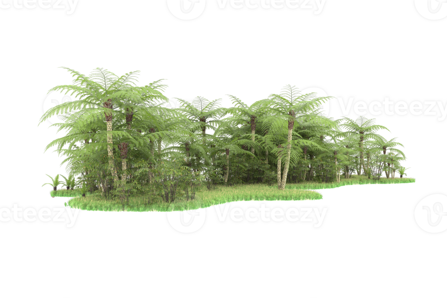 Realistic forest isolated on transparent background. 3d rendering - illustration png
