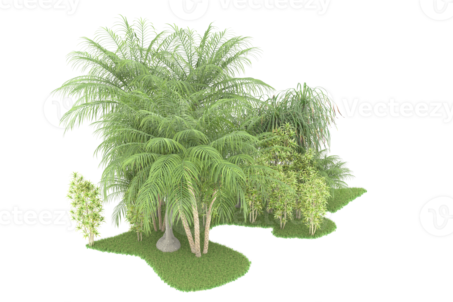 Realistic forest isolated on transparent background. 3d rendering - illustration png