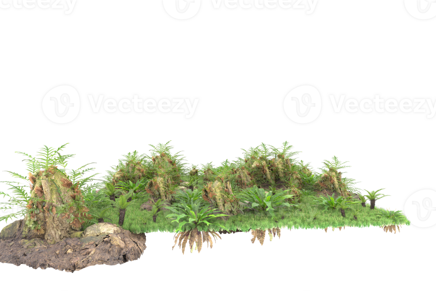 Realistic forest isolated on transparent background. 3d rendering - illustration png