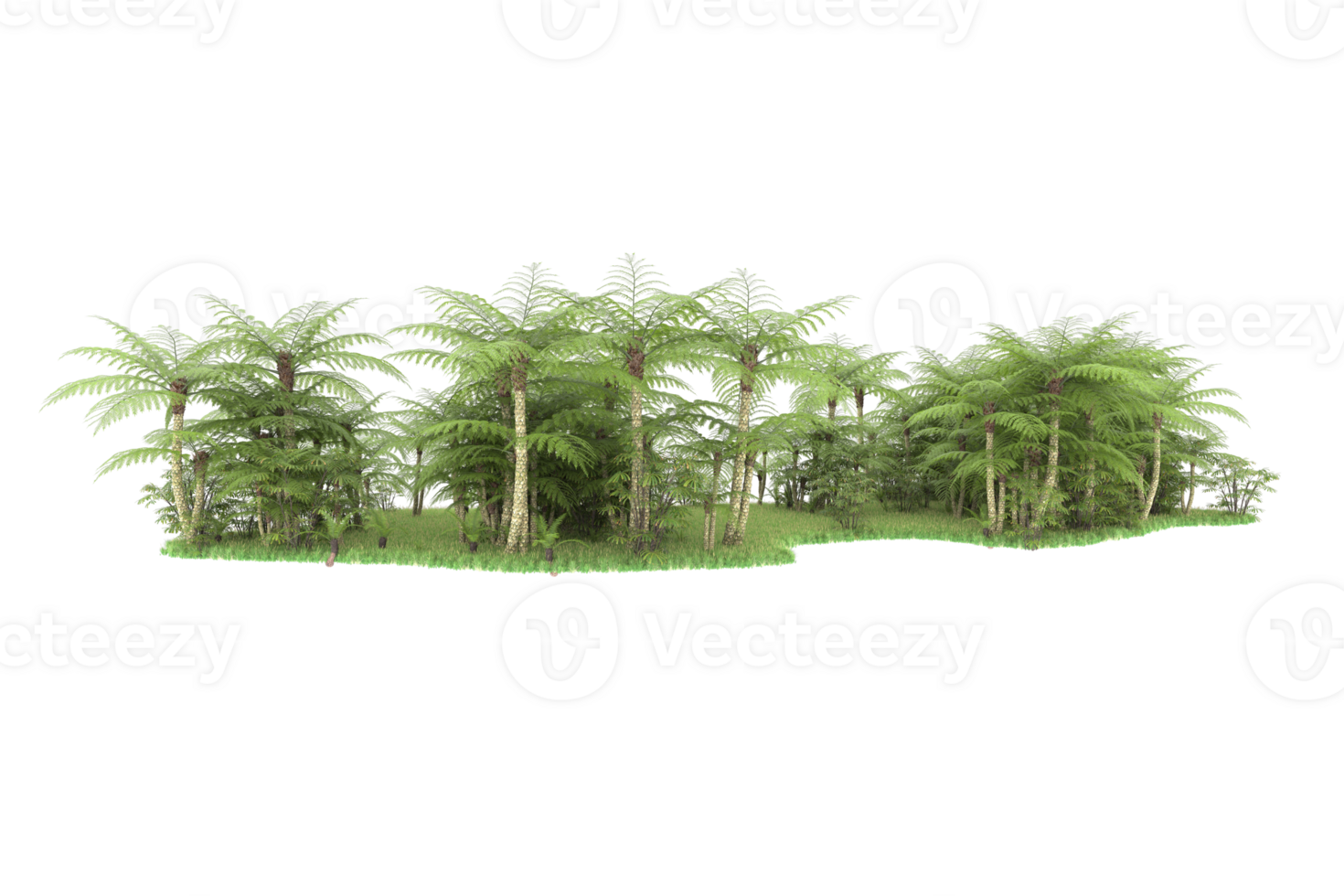Realistic forest isolated on transparent background. 3d rendering - illustration png