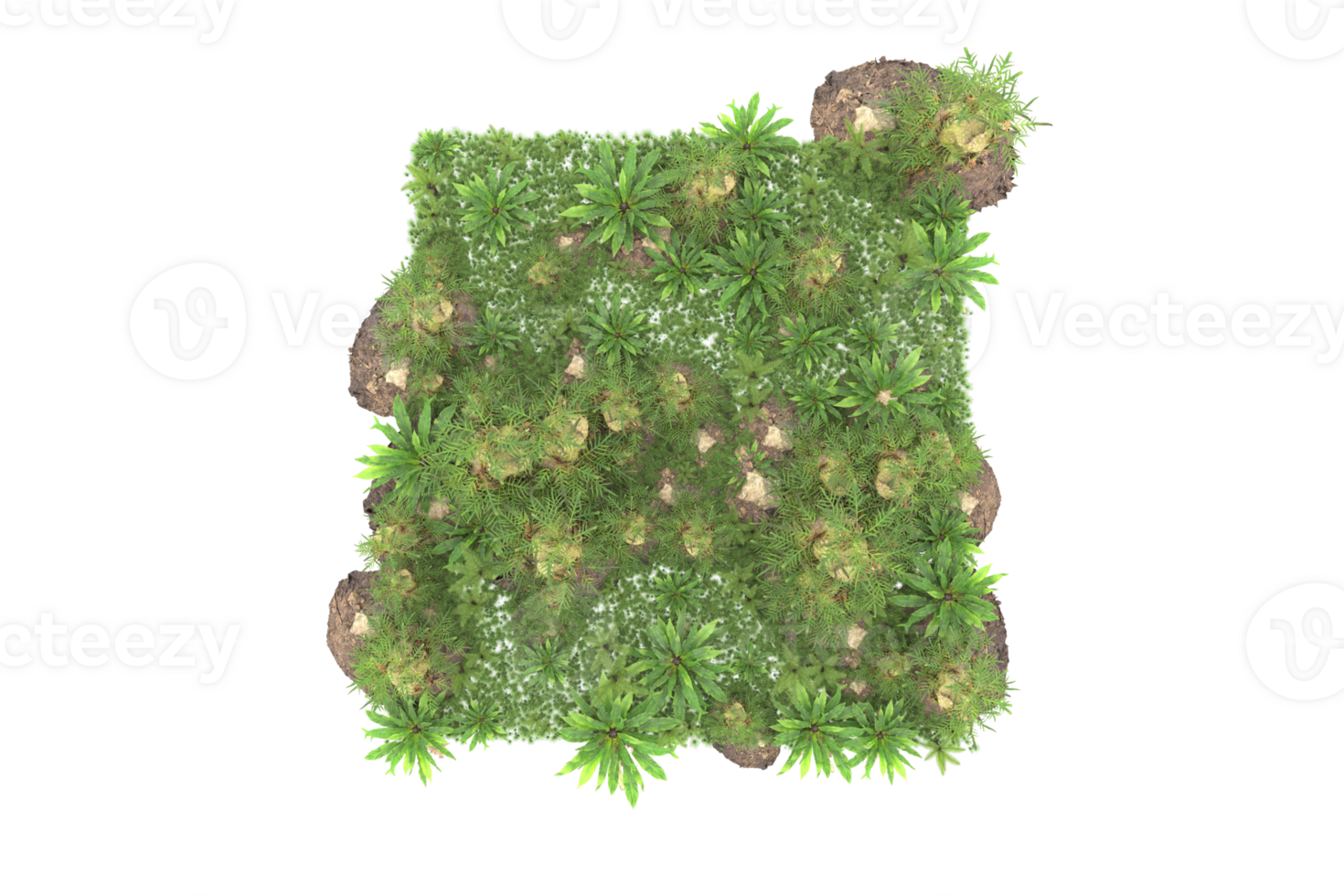 Realistic forest isolated on transparent background. 3d rendering - illustration png