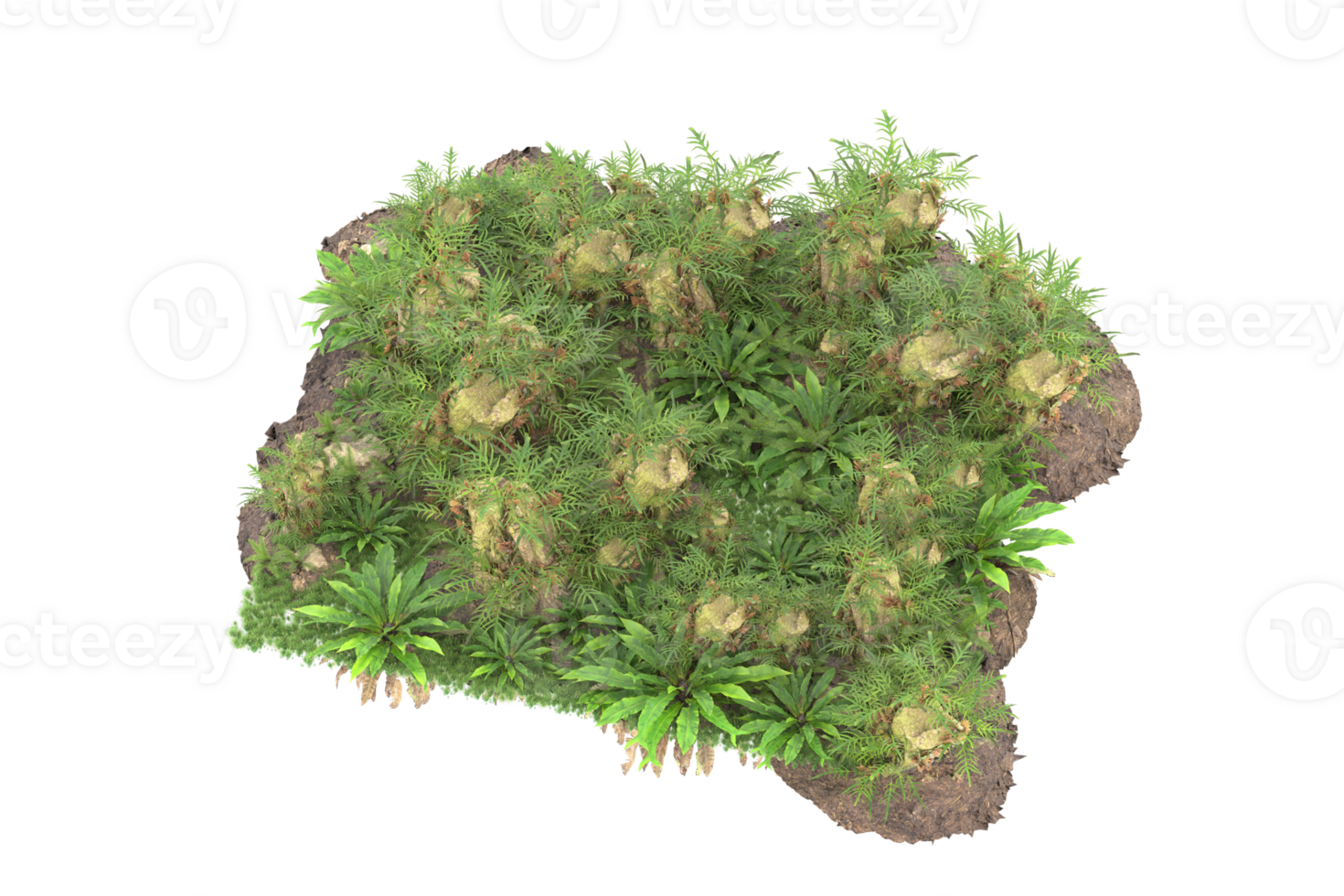 Realistic forest isolated on transparent background. 3d rendering - illustration png