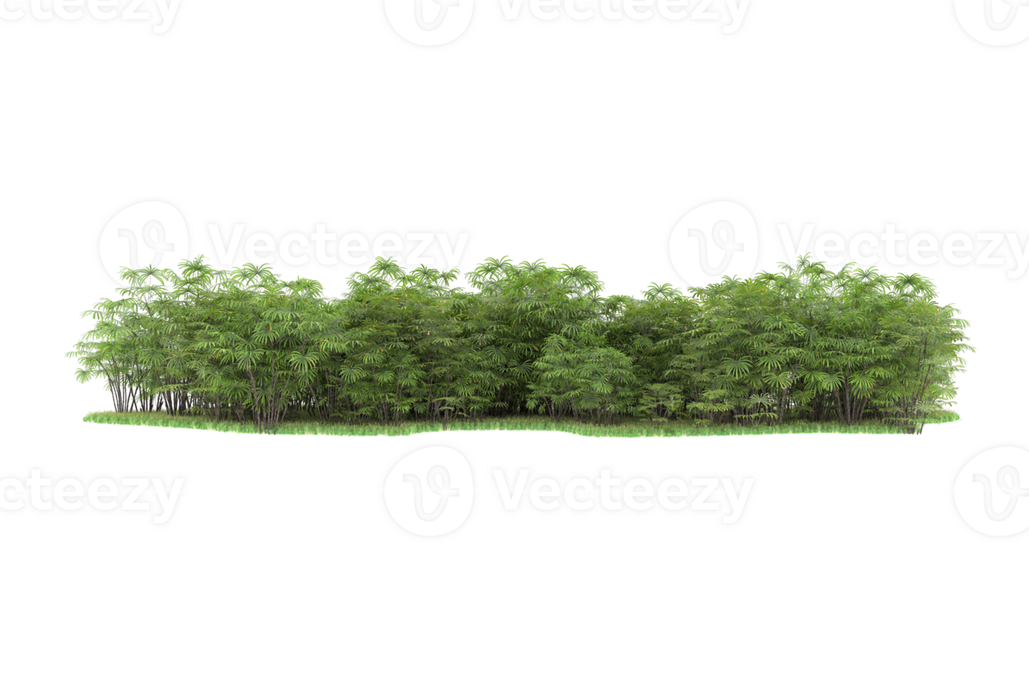 Realistic forest isolated on transparent background. 3d rendering - illustration png