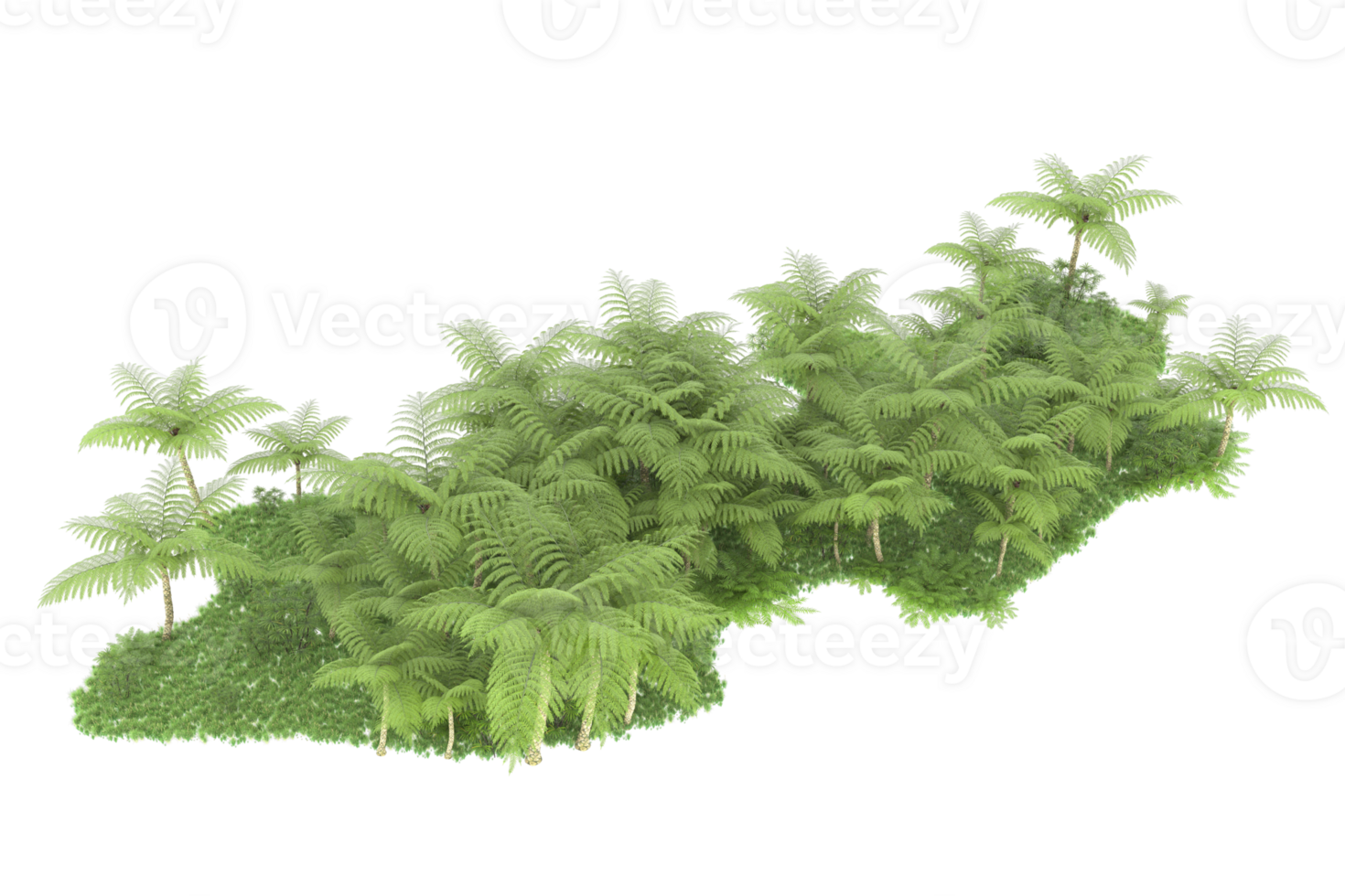 Realistic forest isolated on transparent background. 3d rendering - illustration png
