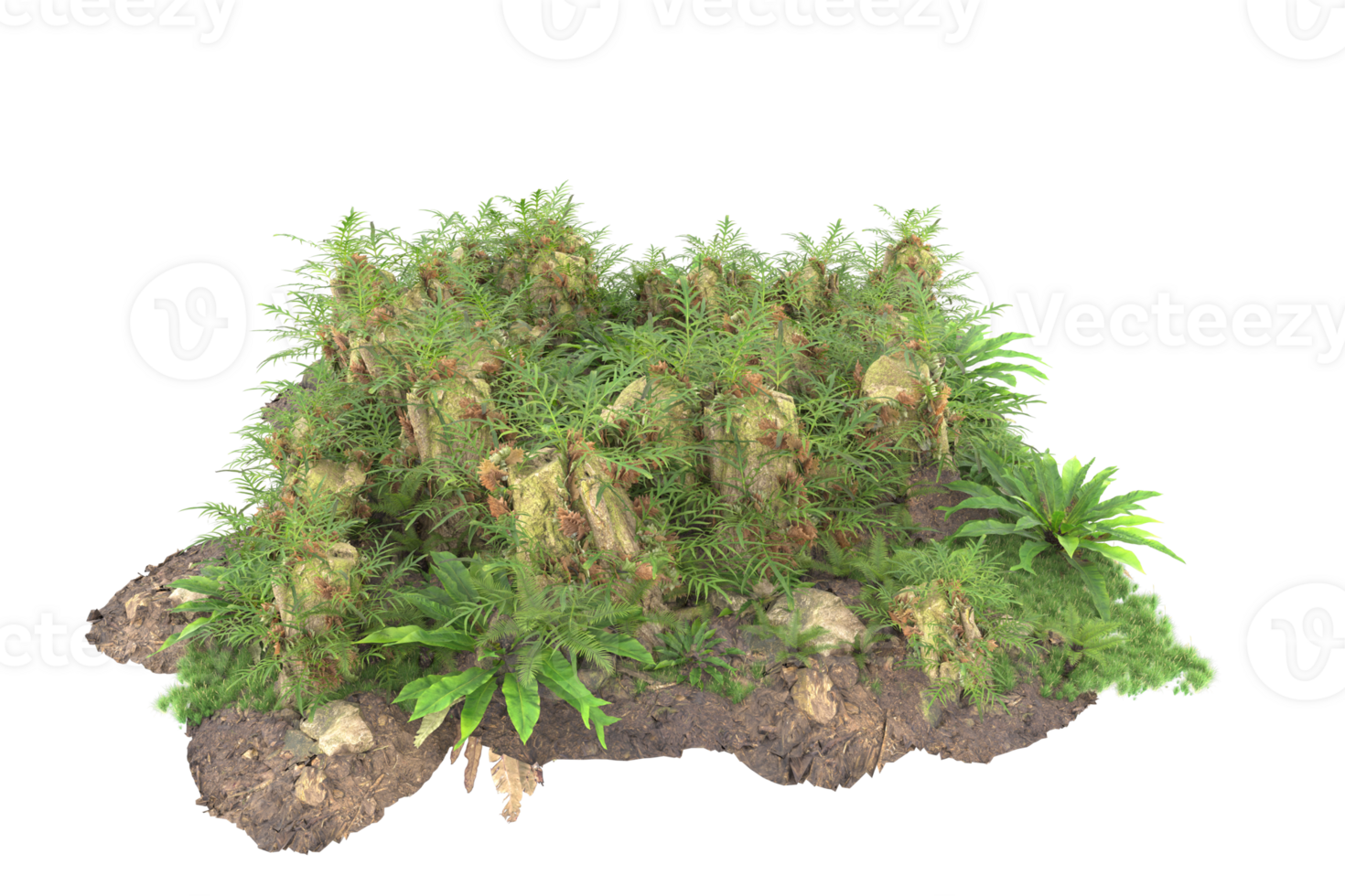 Realistic forest isolated on transparent background. 3d rendering - illustration png