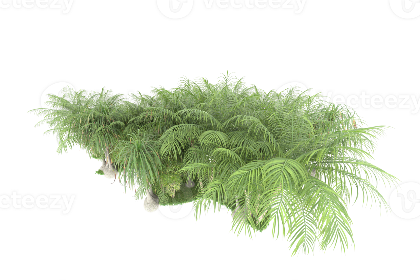 Realistic forest isolated on transparent background. 3d rendering - illustration png