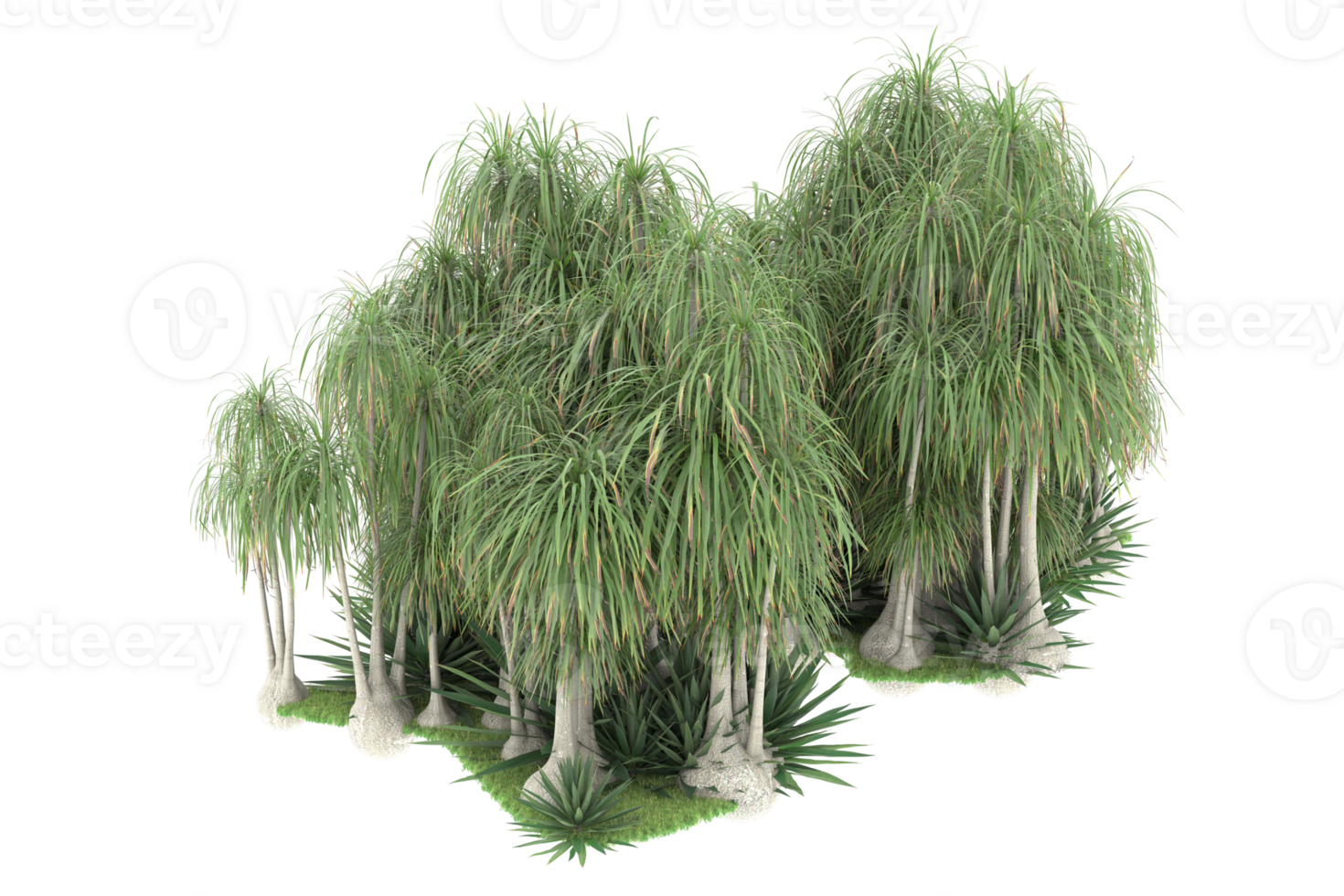 Realistic forest isolated on transparent background. 3d rendering - illustration png