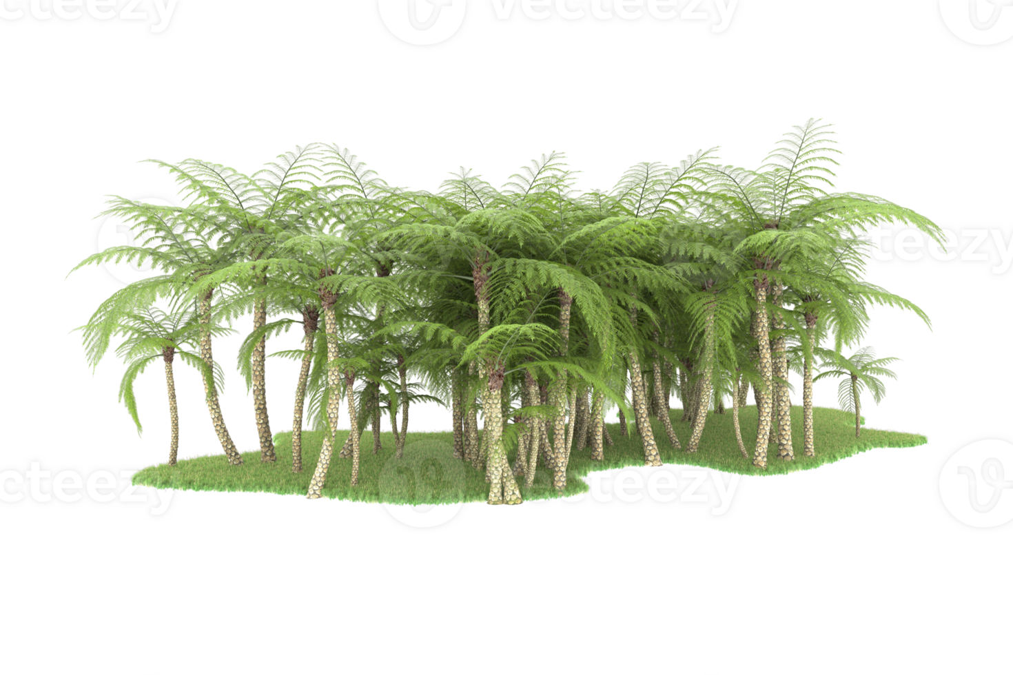 Realistic forest isolated on transparent background. 3d rendering - illustration png