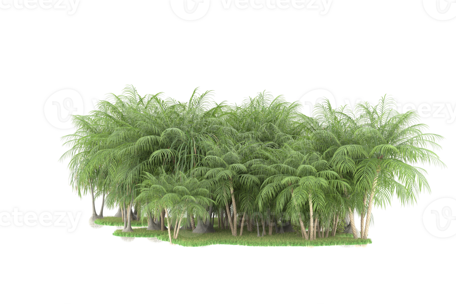 Realistic forest isolated on transparent background. 3d rendering - illustration png