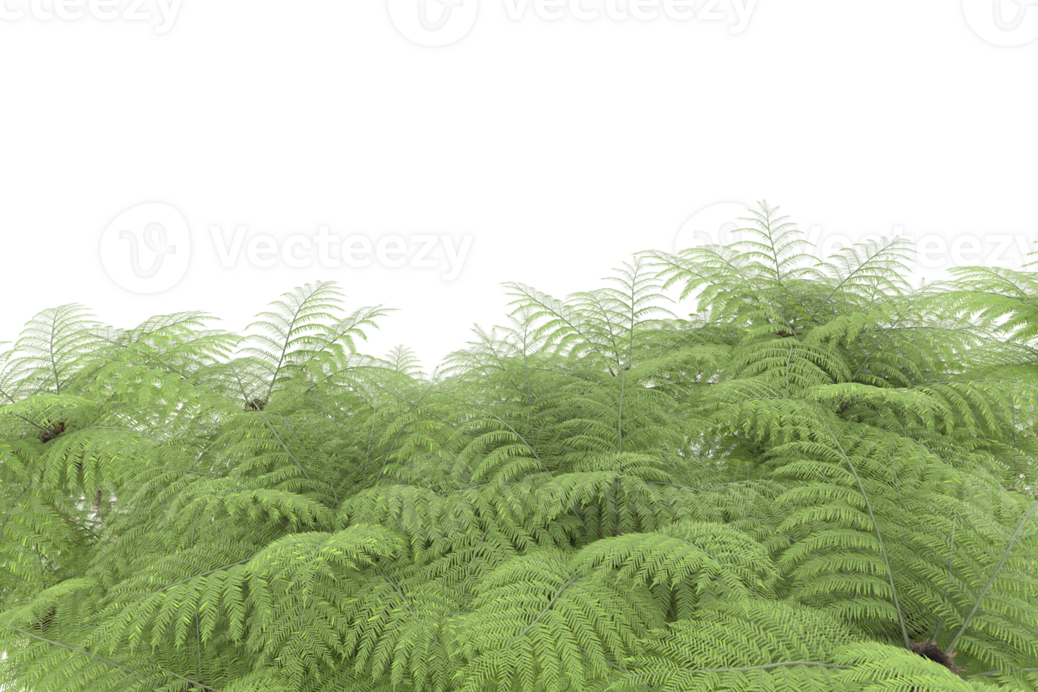 Realistic forest isolated on transparent background. 3d rendering - illustration png