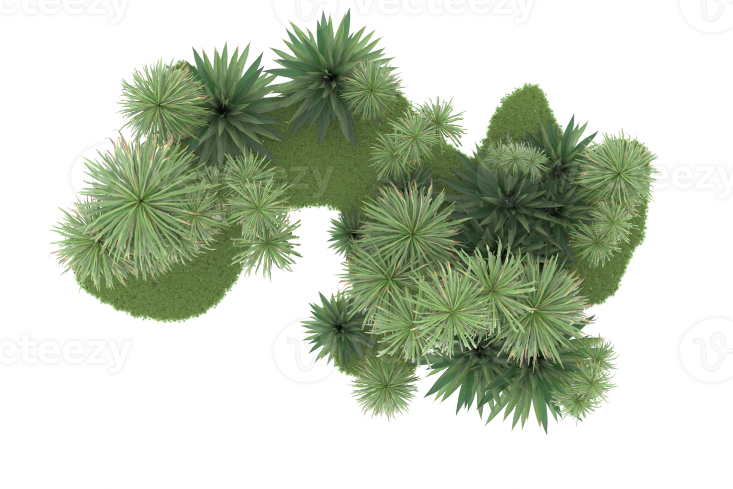 Realistic forest isolated on transparent background. 3d rendering - illustration png