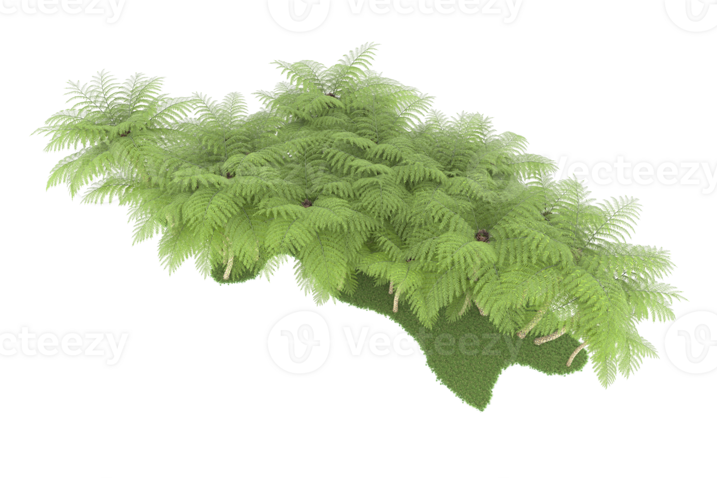 Realistic forest isolated on transparent background. 3d rendering - illustration png