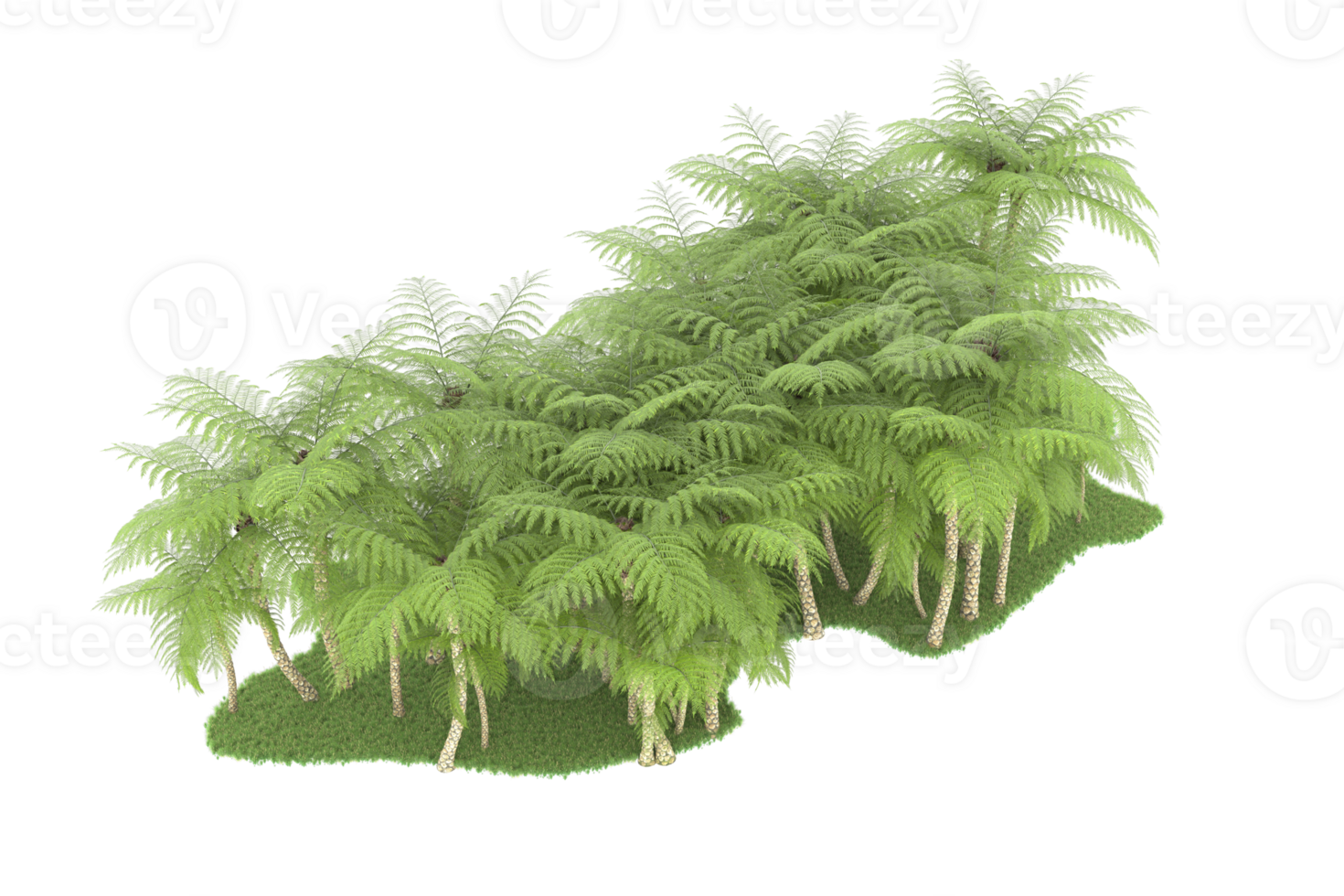 Realistic forest isolated on transparent background. 3d rendering - illustration png