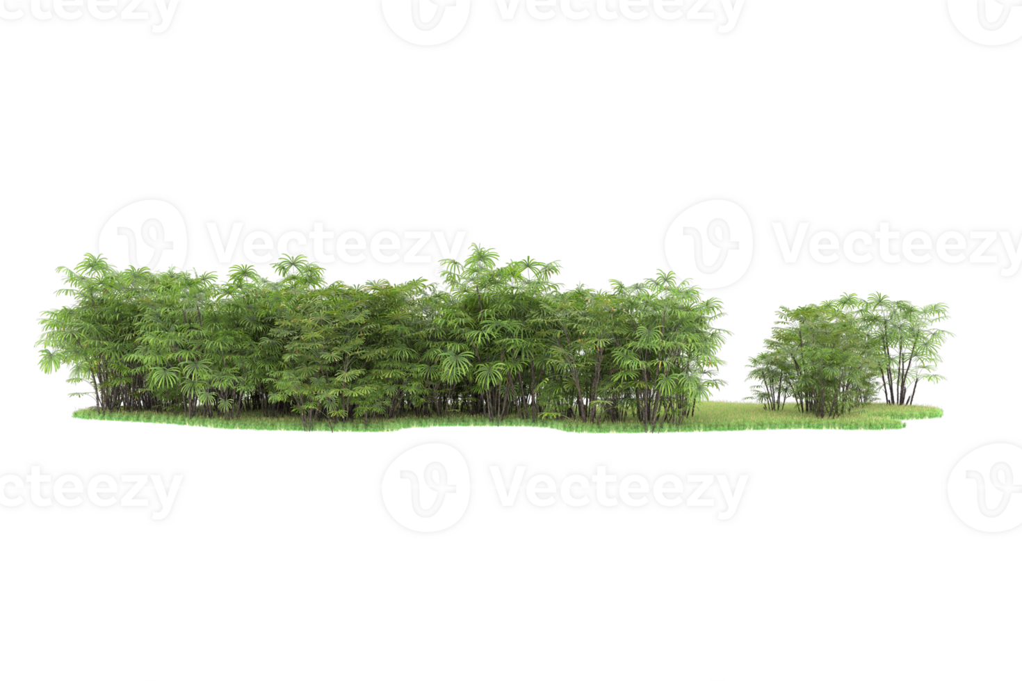 Realistic forest isolated on transparent background. 3d rendering - illustration png