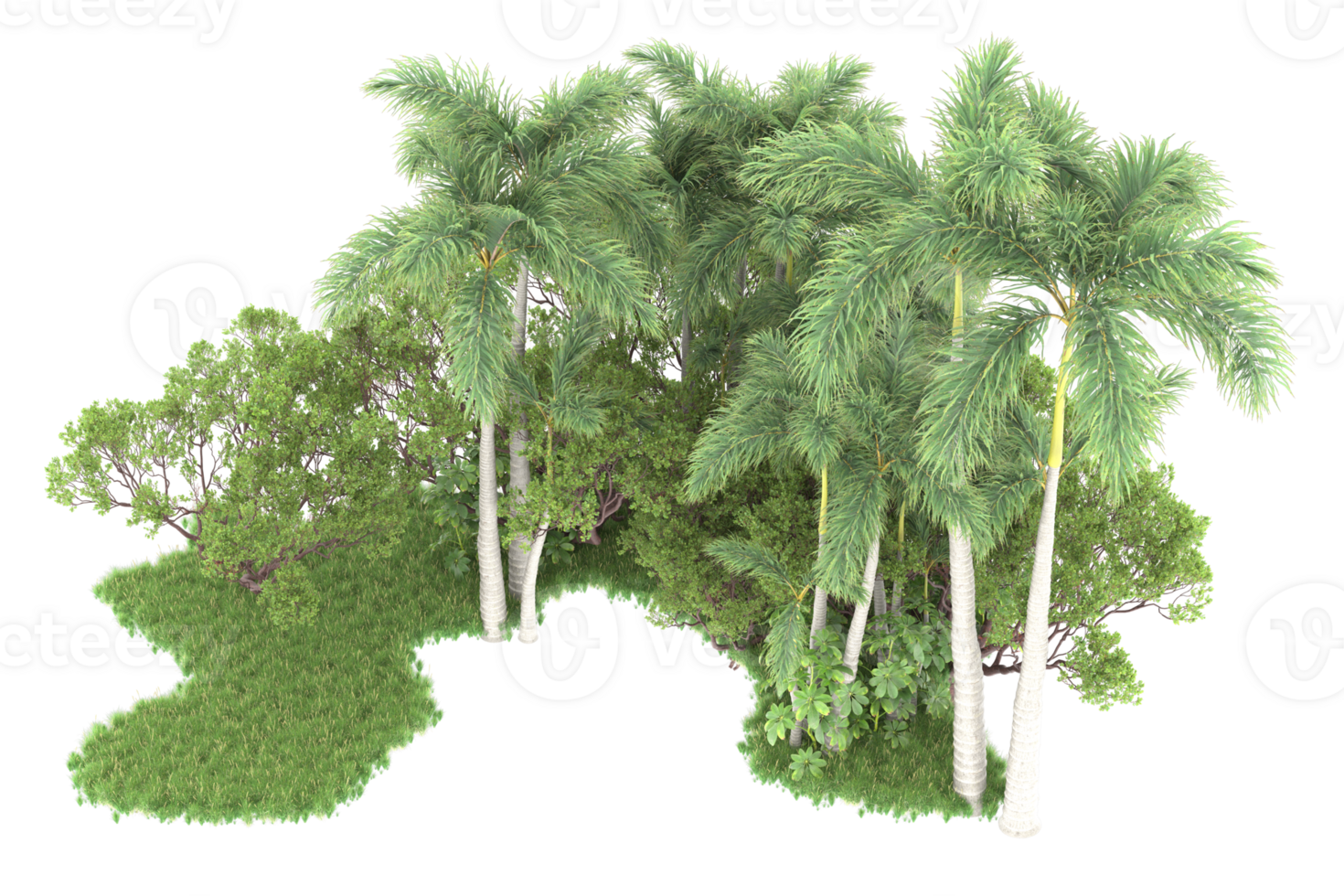 Realistic forest isolated on transparent background. 3d rendering - illustration png