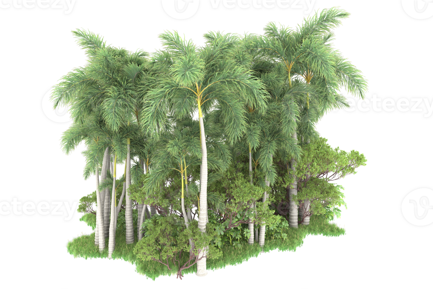 Realistic forest isolated on transparent background. 3d rendering - illustration png