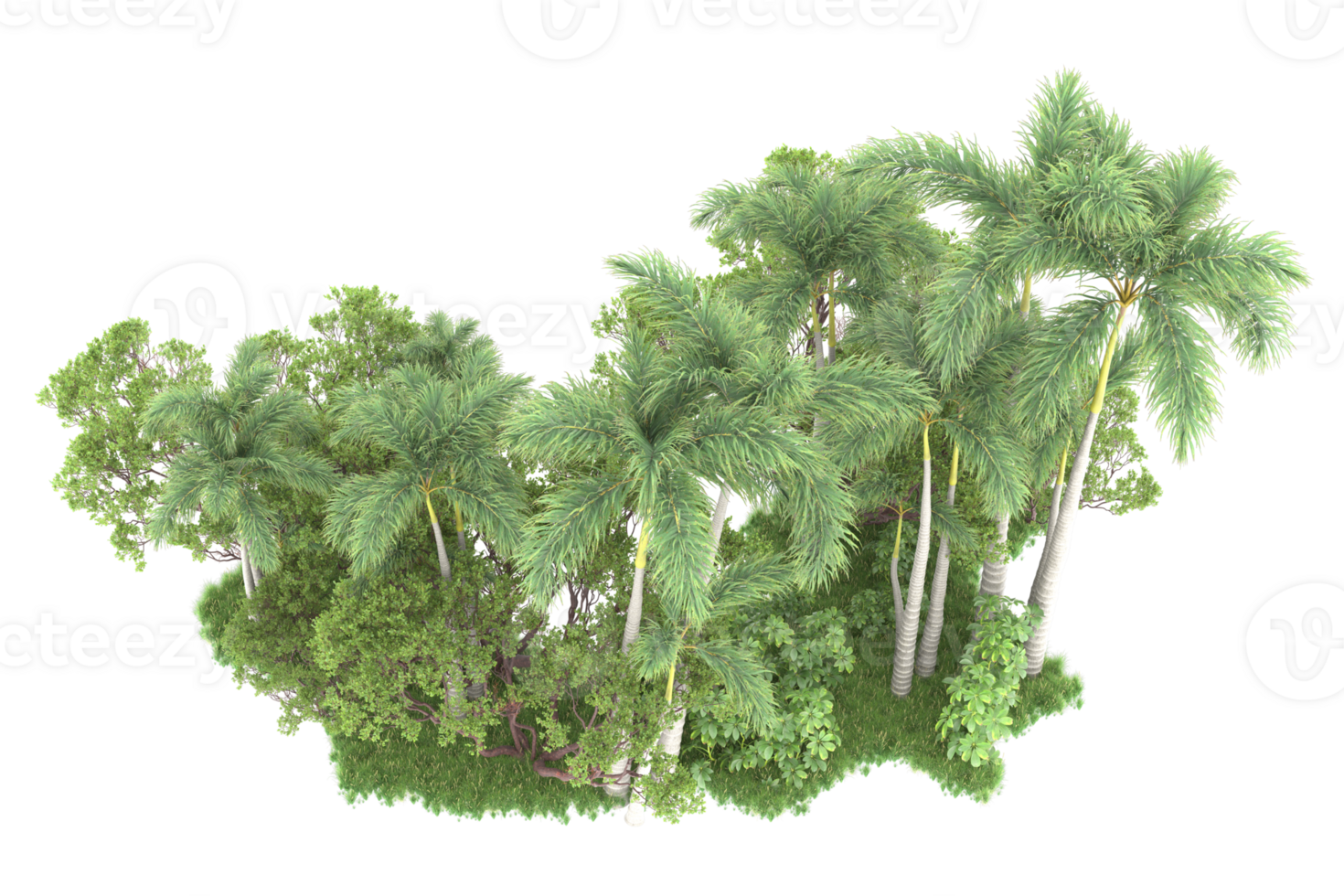Realistic forest isolated on transparent background. 3d rendering - illustration png