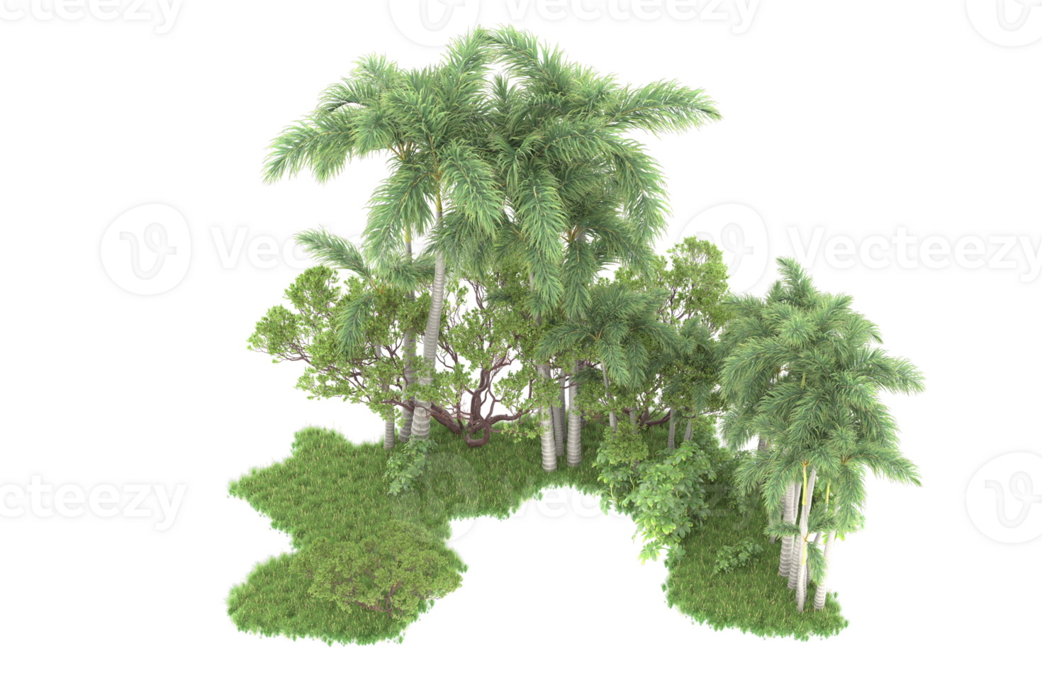 Realistic forest isolated on transparent background. 3d rendering - illustration png