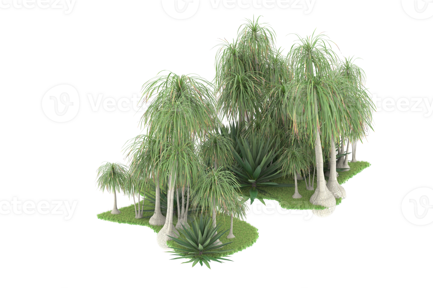 Realistic forest isolated on transparent background. 3d rendering - illustration png