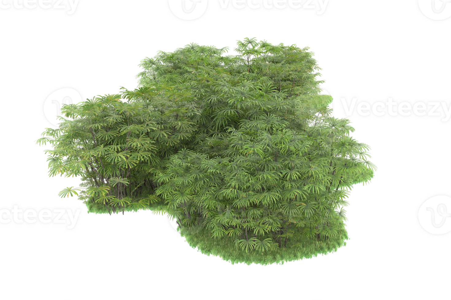 Realistic forest isolated on transparent background. 3d rendering - illustration png