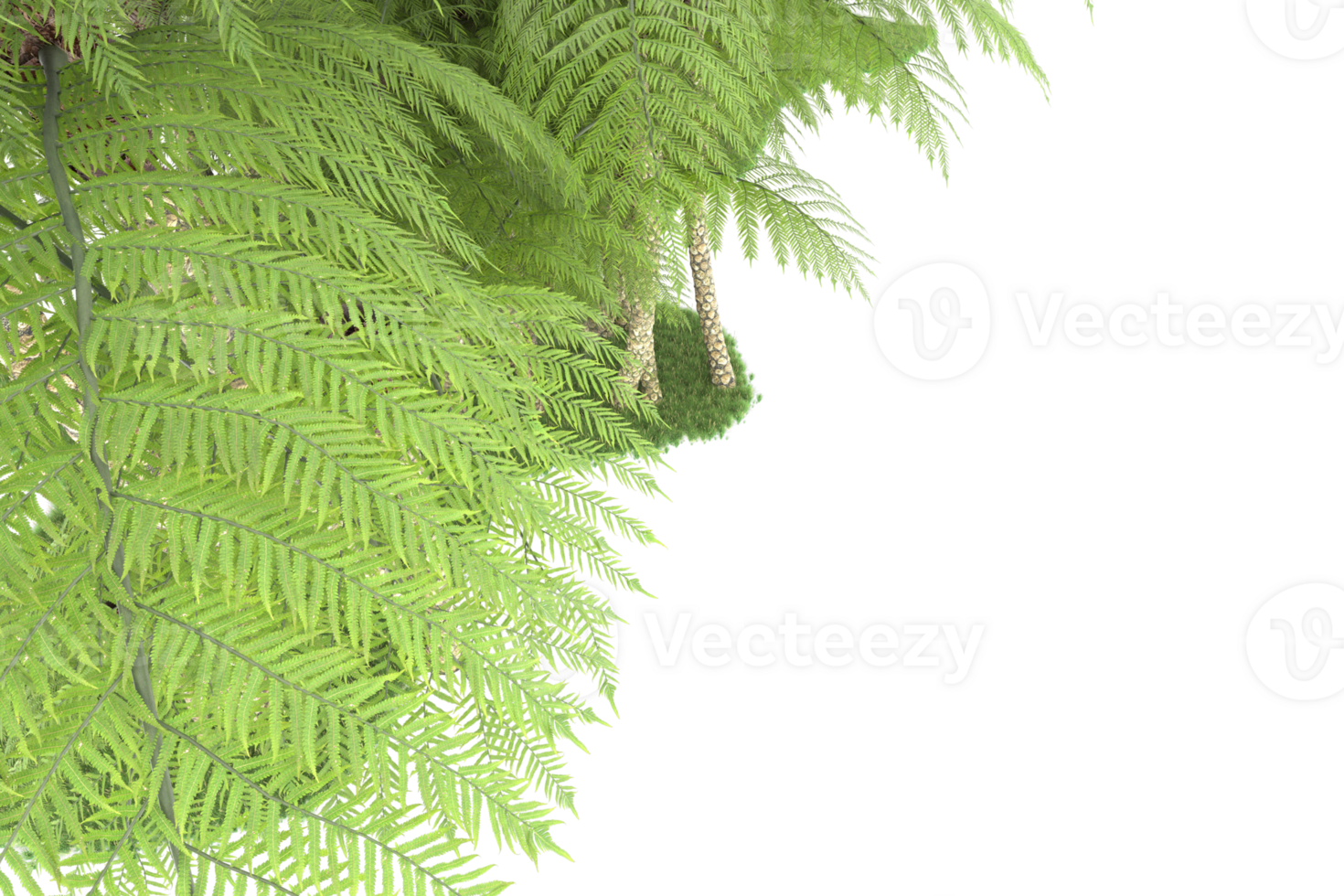 Realistic forest isolated on transparent background. 3d rendering - illustration png