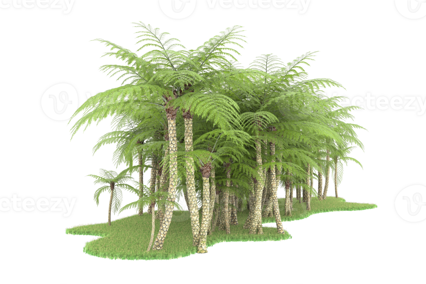Realistic forest isolated on transparent background. 3d rendering - illustration png
