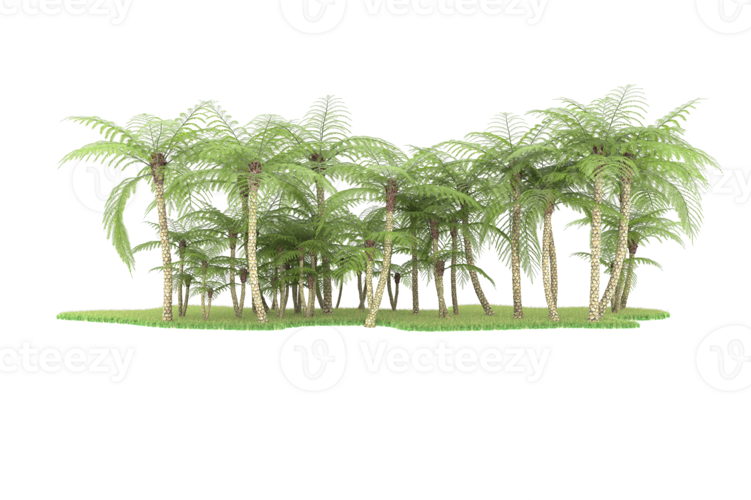 Realistic forest isolated on transparent background. 3d rendering - illustration png