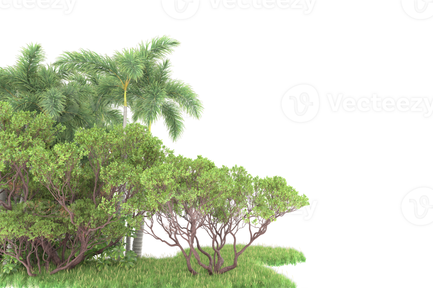 Realistic forest isolated on transparent background. 3d rendering - illustration png